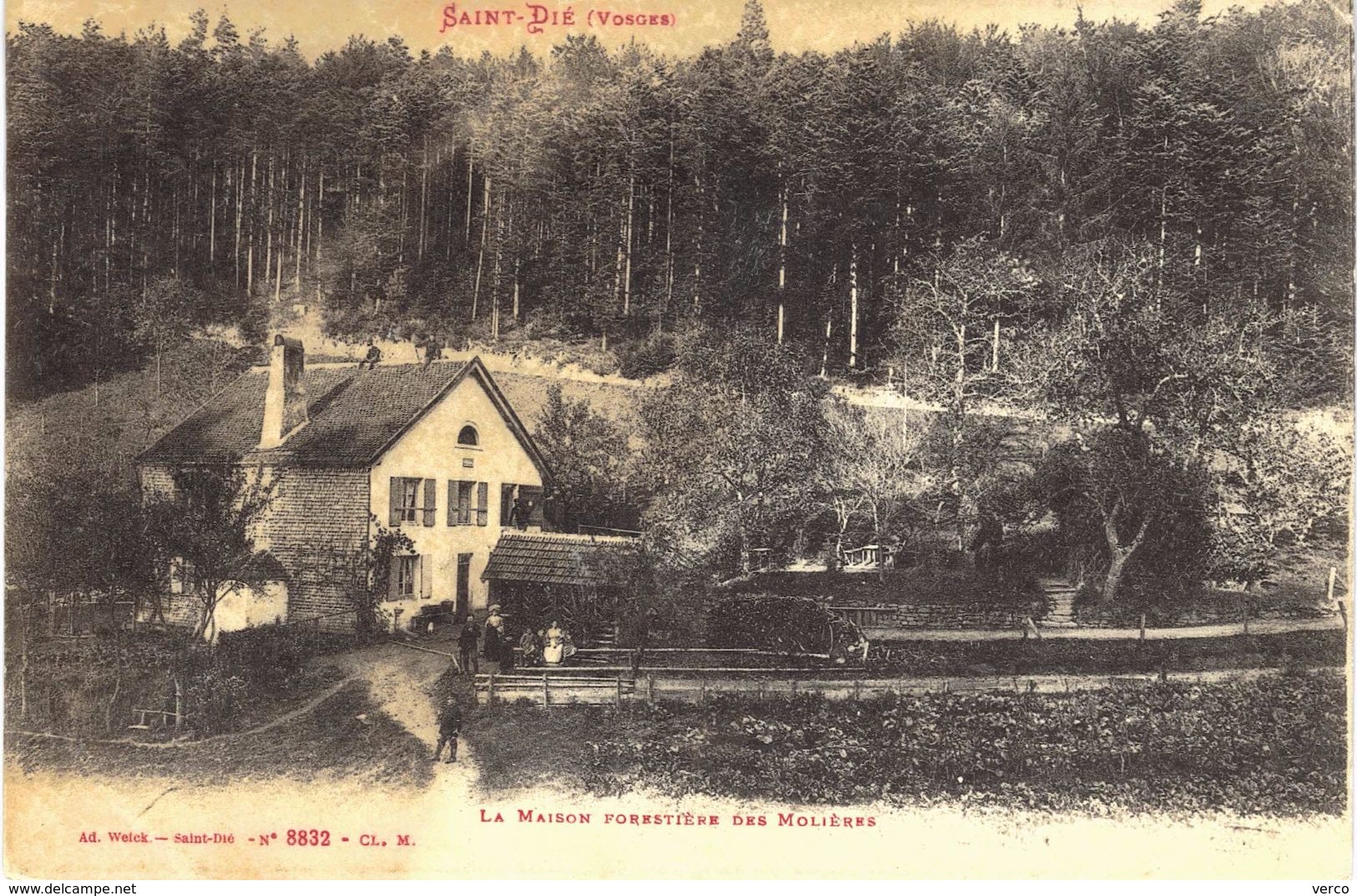Carte postale ancienne de MAISON FORESTIERE des MOLIERES (SAINT DIE)