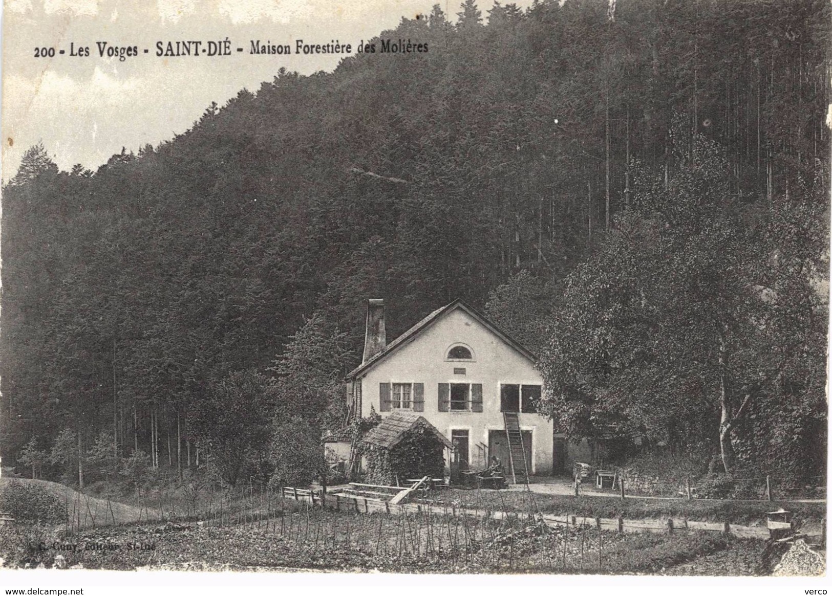 Carte postale ancienne de MAISON FORESTIERE des MOLIERES (SAINT DIE)