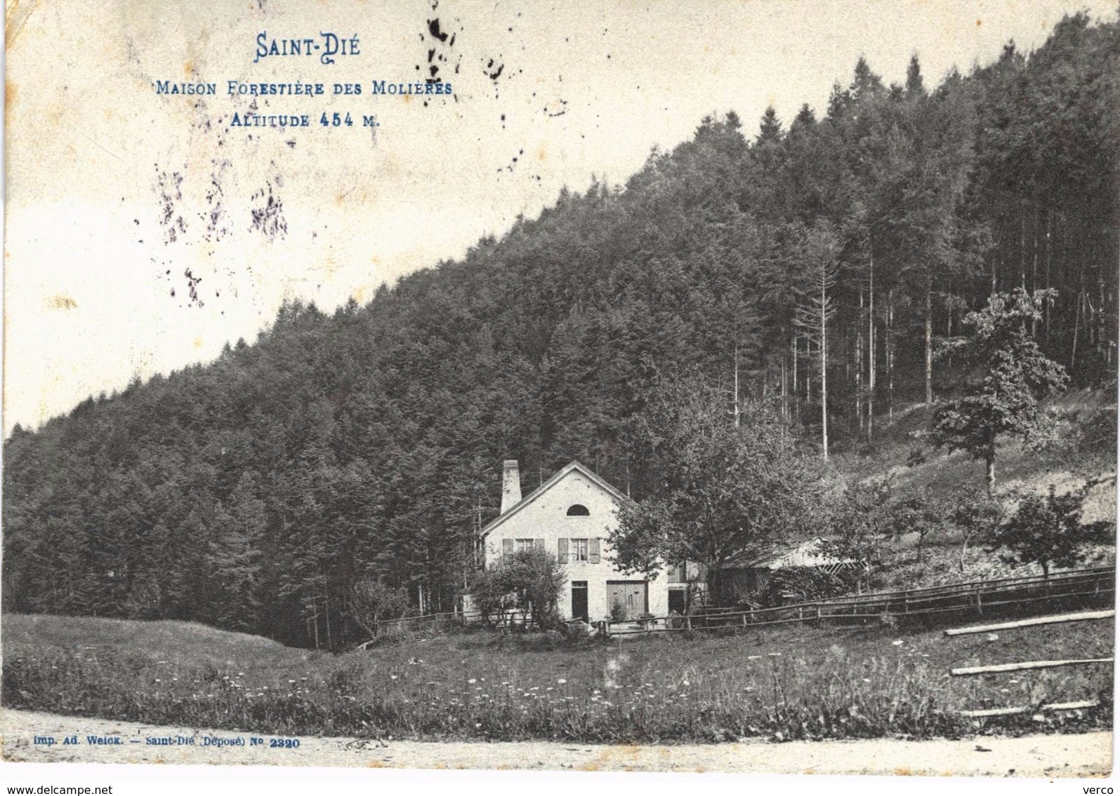 Carte postale ancienne de MAISON FORESTIERE des MOLIERES (SAINT DIE)