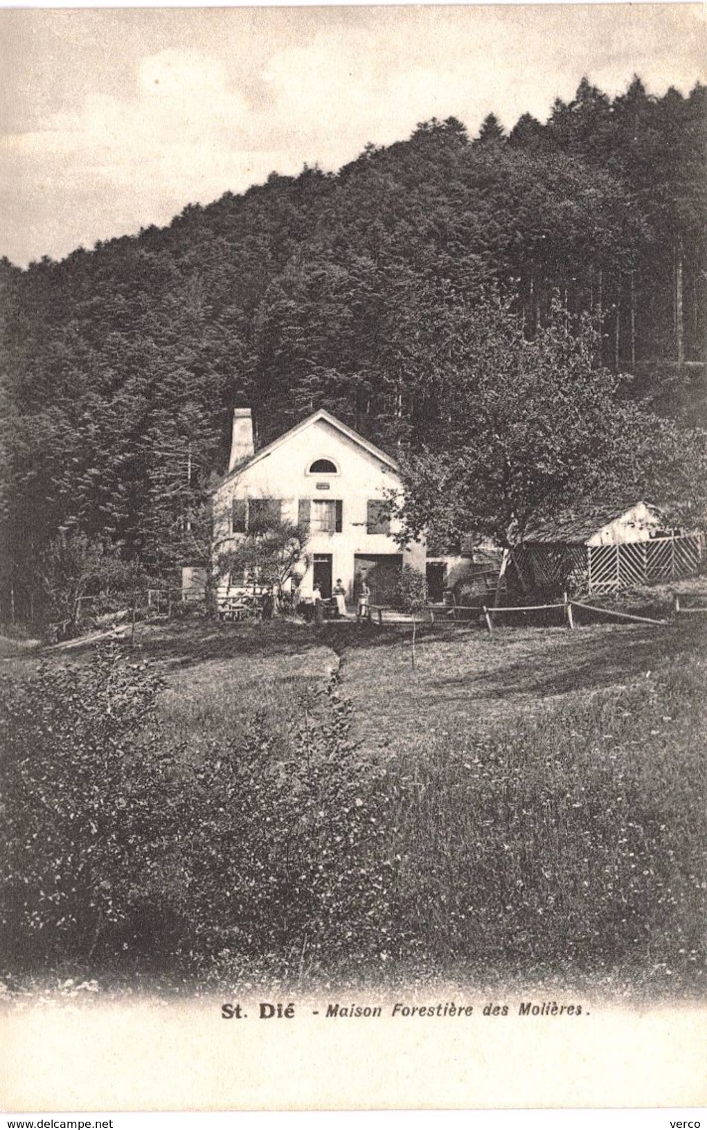 Carte postale ancienne de MAISON FORESTIERE Les MOLIERES ( SAINT DIE )