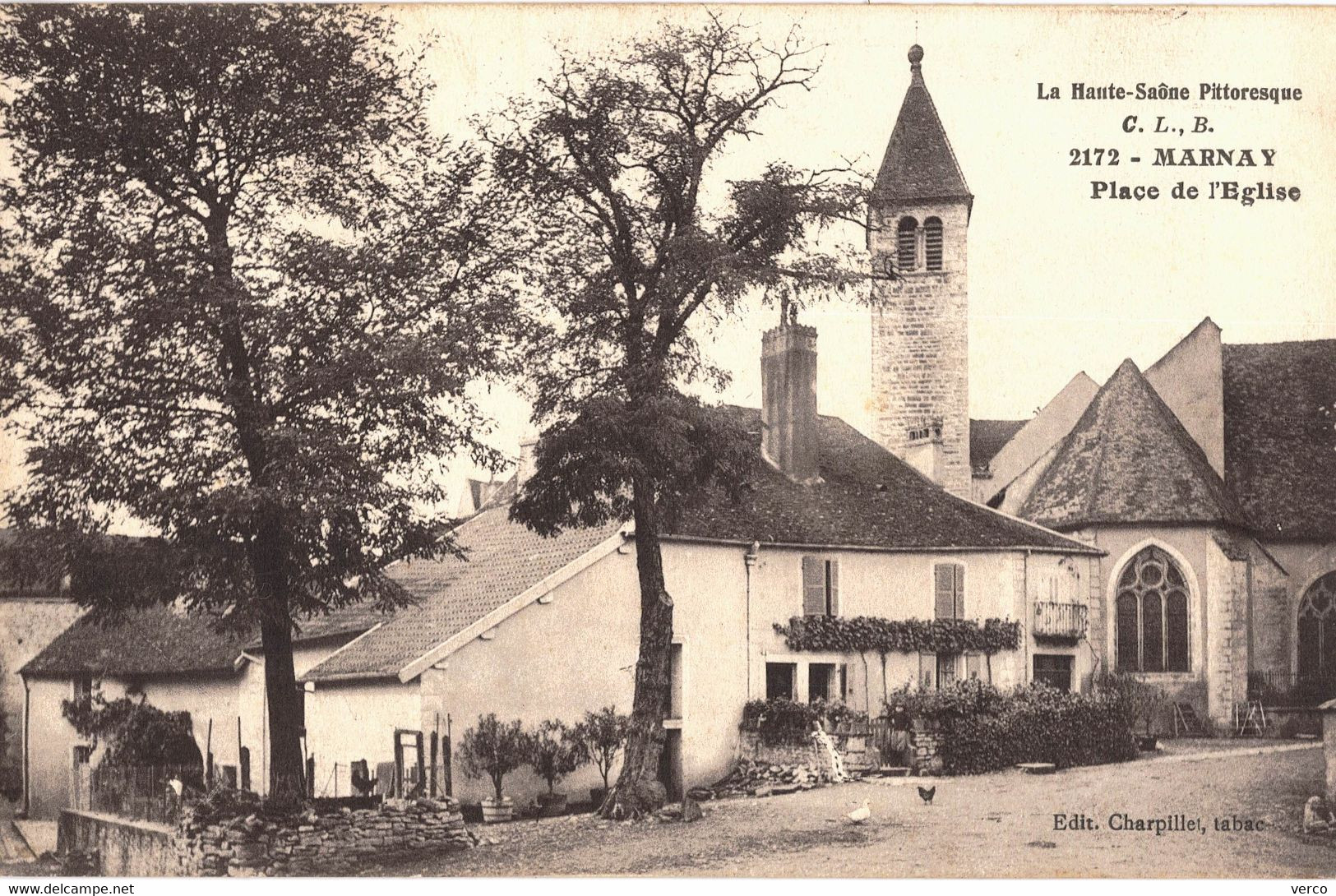 Carte POSTALE  Ancienne de MARNAY - Place de l'Eglise