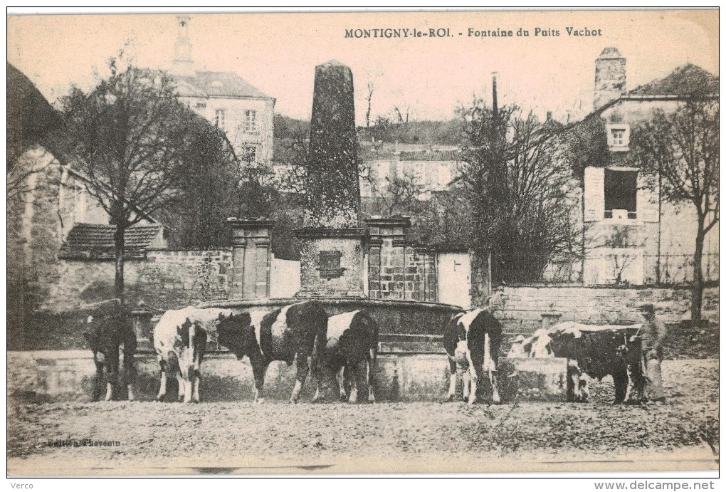 Carte Postale Ancienne de MONTIGNY LE ROI-Fontaine du Puits Vachot