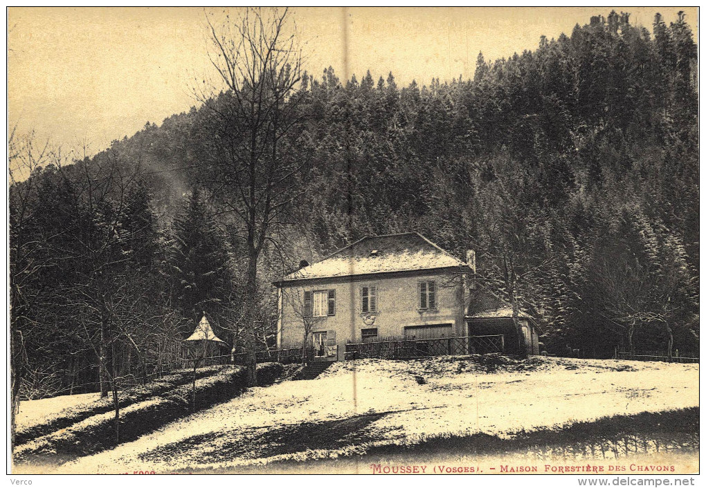 Carte Postale Ancienne de MOUSSEY