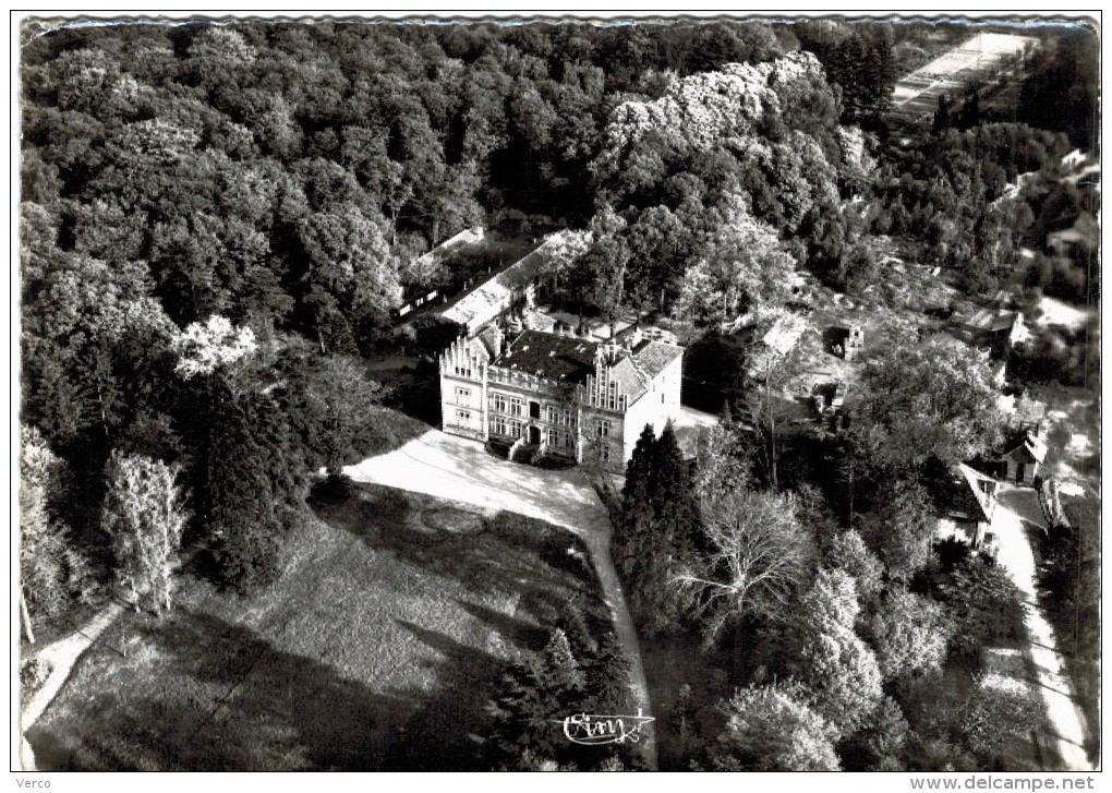 Carte Postale Ancienne de PARGNY SUR SAULX-vue aérienne-Château Gilardoni