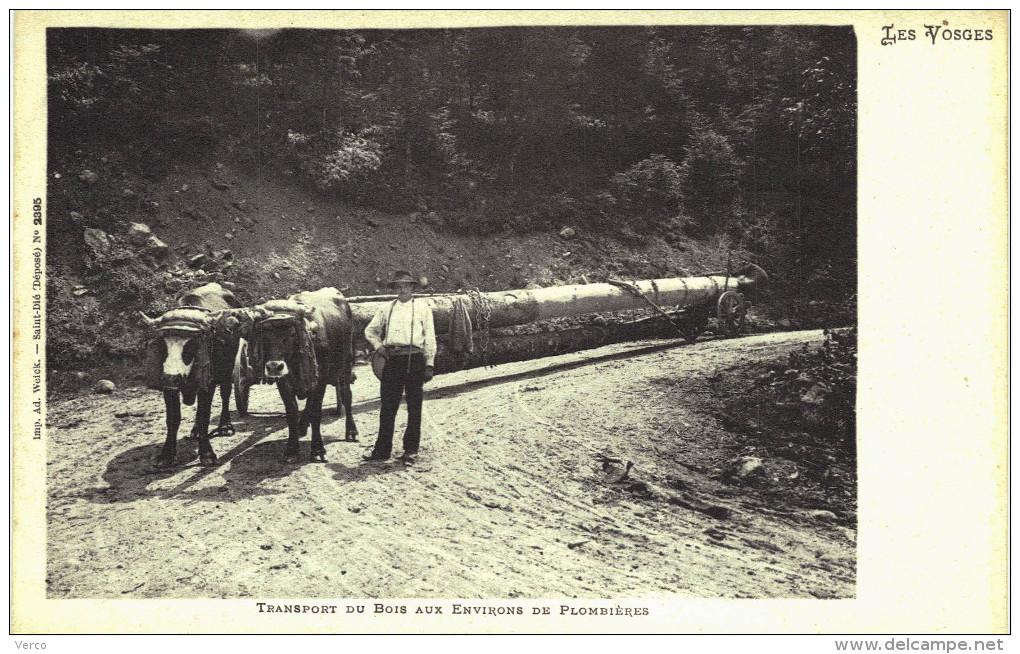 Carte Postale Ancienne de PLOMBIERES les BAINS