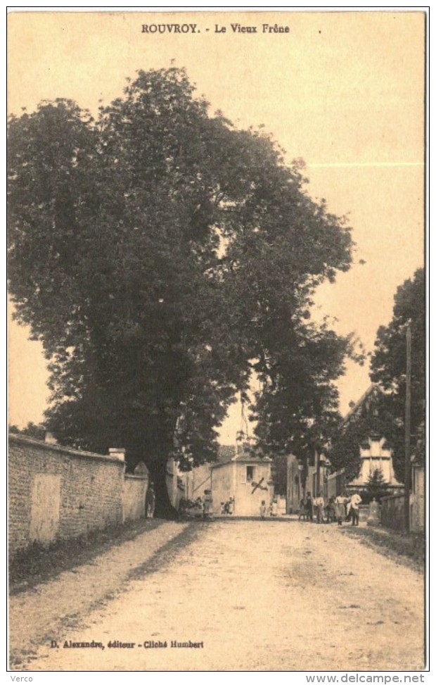 Carte Postale Ancienne de ROUVROY-Le vieux Frêne