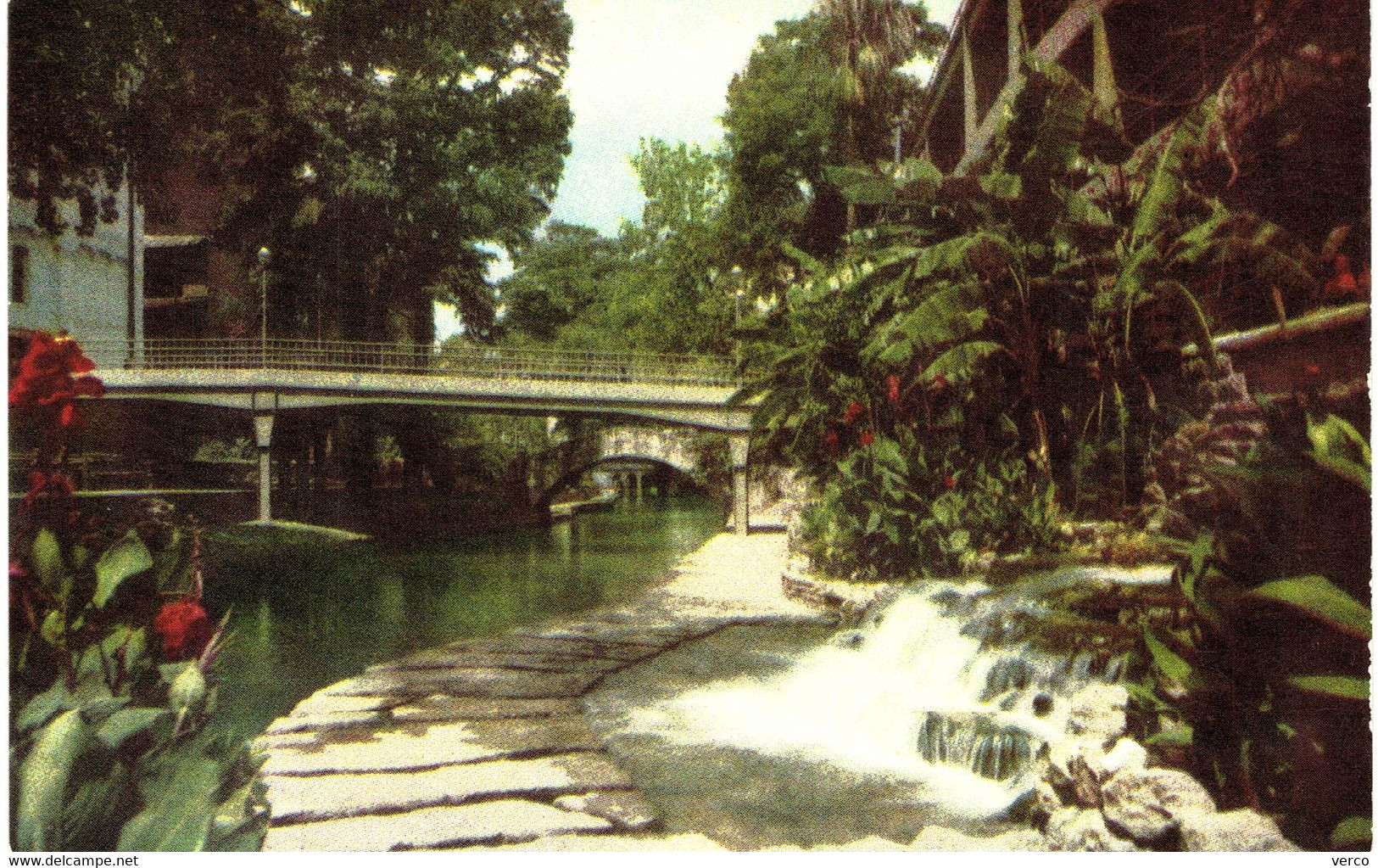 Carte POSTALE  Ancienne  de  SAN ANTONIO