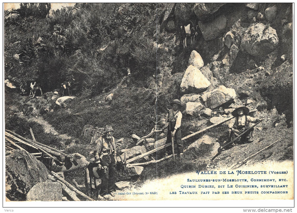 Carte Postale Ancienne de SAULXURES sur MOSELOTTE