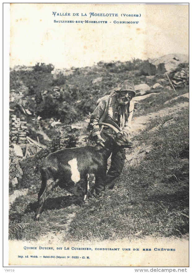 Carte Postale Ancienne de SAULXURES sur MOSELOTTE