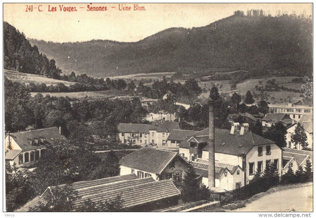 Carte Postale Ancienne de SENONES