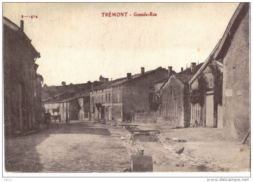 Carte Postale Ancienne de TREMONT sur SAULX