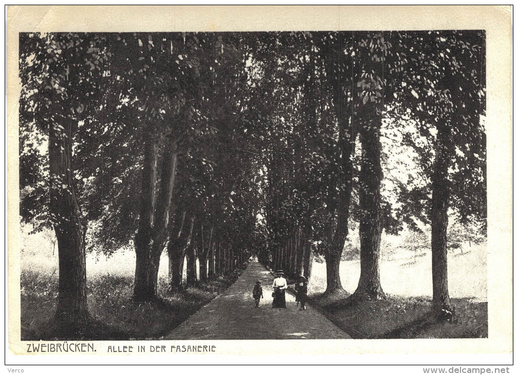 Carte Postale Ancienne de ZWEIBRÜCKEN