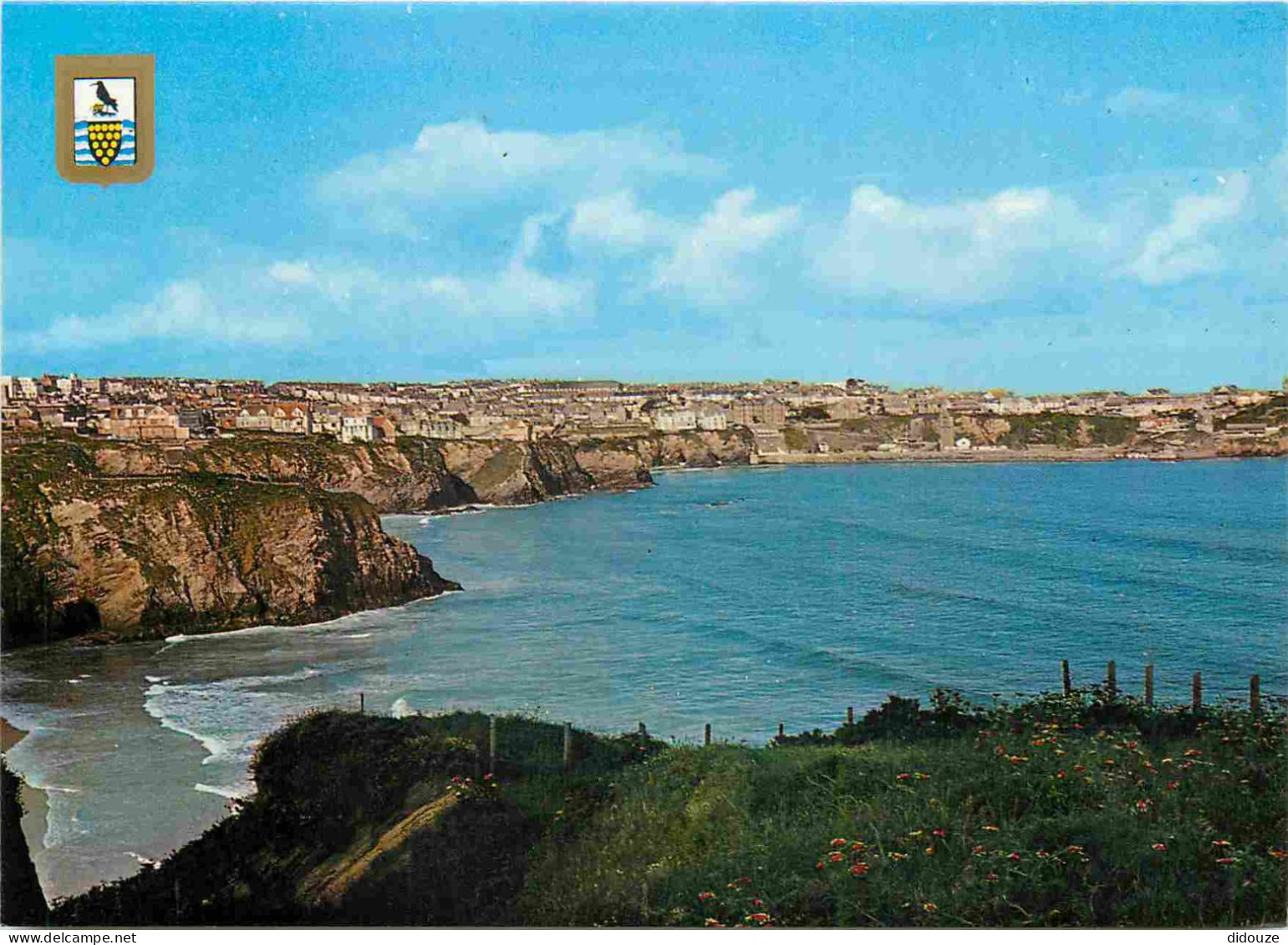 Carte Postale - Angleterre - Newquay - Newquay from Lusty Glaze Head Cornwall - Cornwall - Scilly Isles - England - Roya