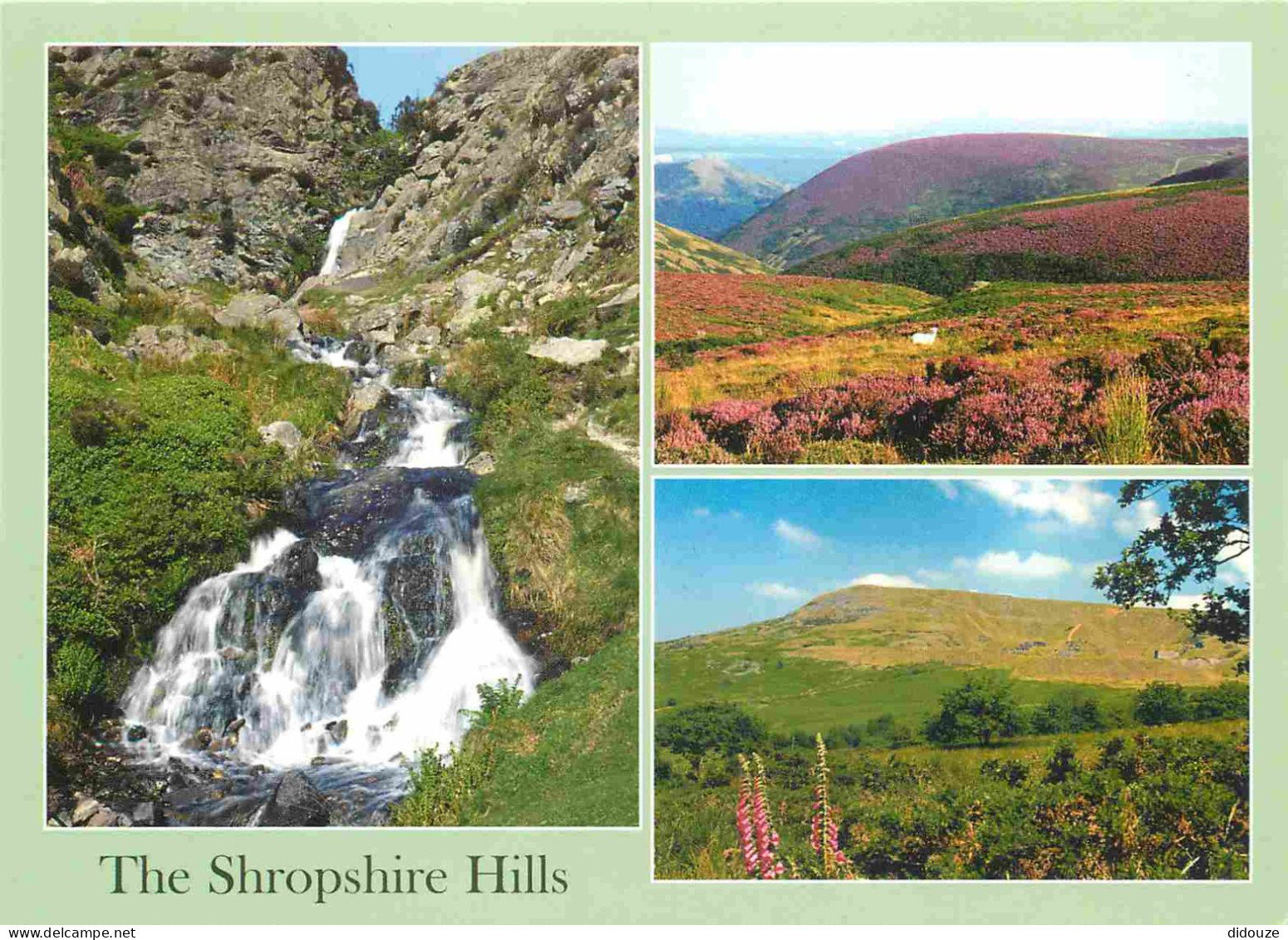 Carte Postale - Angleterre - The Shropshire Hills - Multivues - Shropshire - England - Royaume Uni - UK - United Kingdom