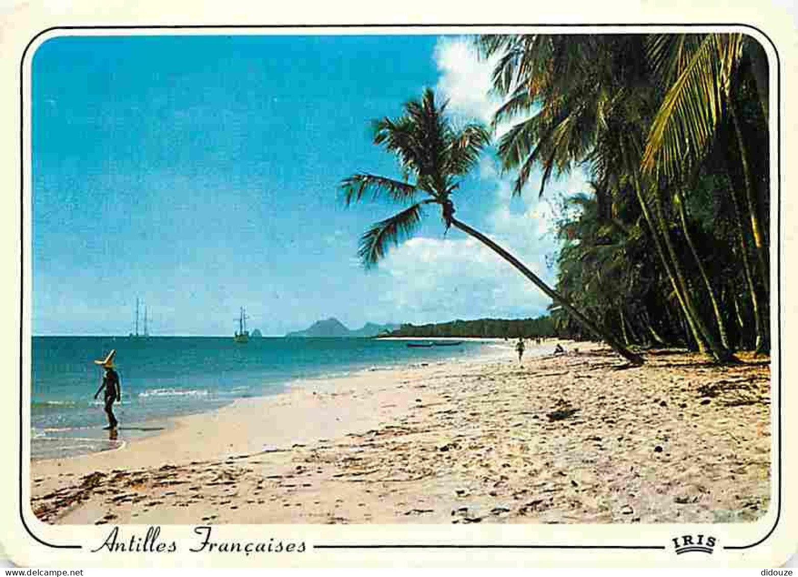 Carte Postale - Antilles - Antilles Francaise - Plage de cocotiers - CPM - Voir Scans Recto-Verso - Poscard - Carta Post