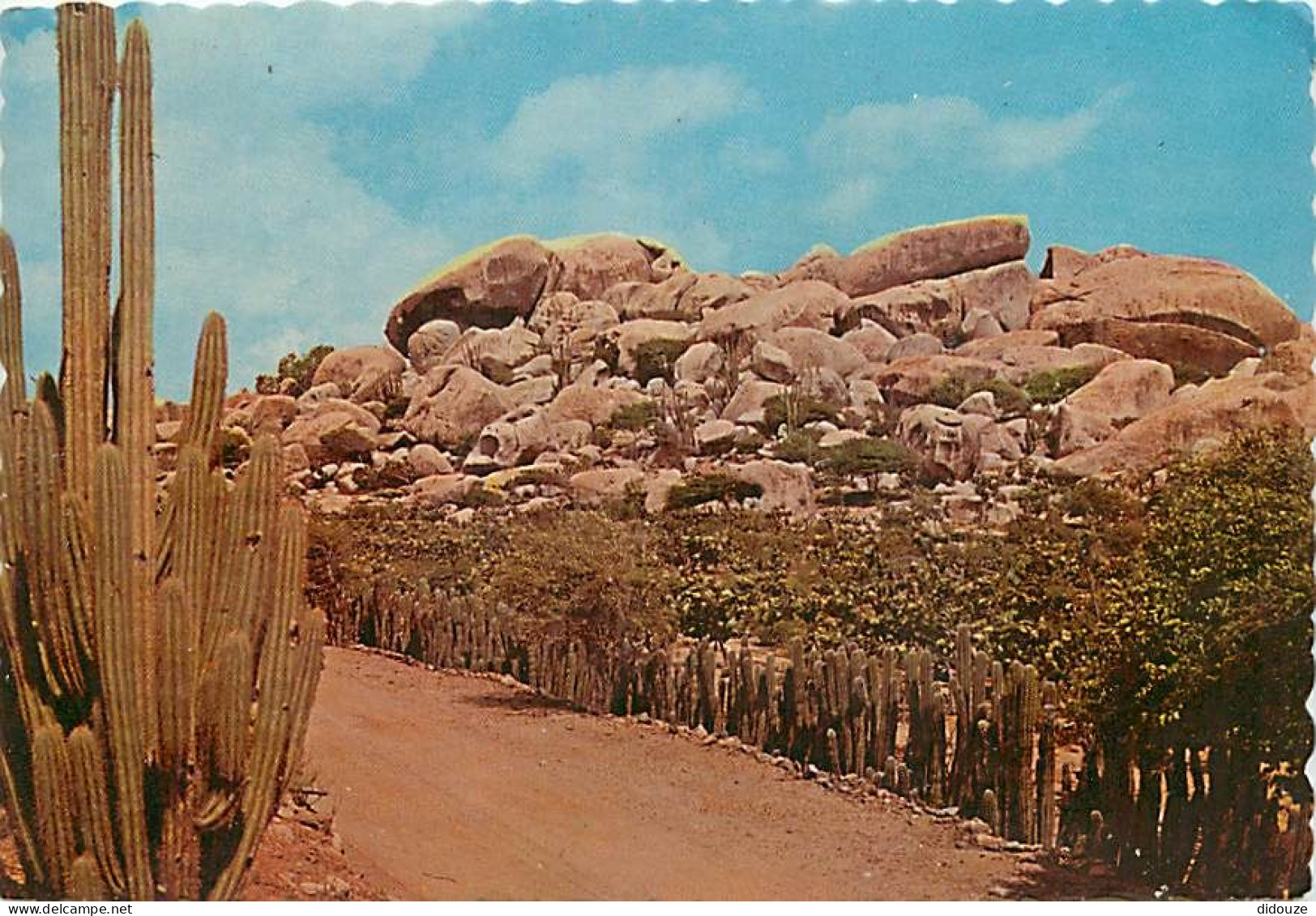 Carte Postale - Antilles - Antilles Neérlandaises - Netherlands Antilles - Rock formation at Ajo - CPM - Voir Scans Rect