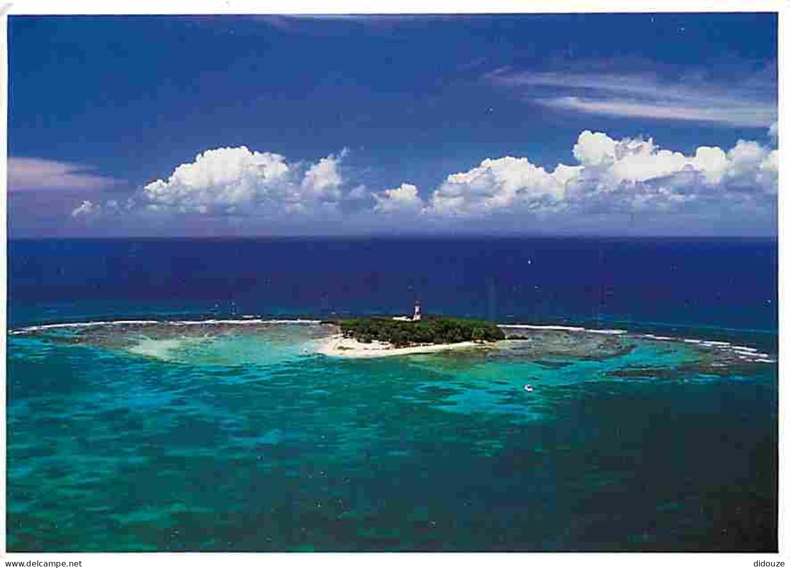 Carte Postale - Antilles - Couleur des Antilles - Illet Gosiet - CPM - Voir Scans Recto-Verso - Poscard - Carta Postal -