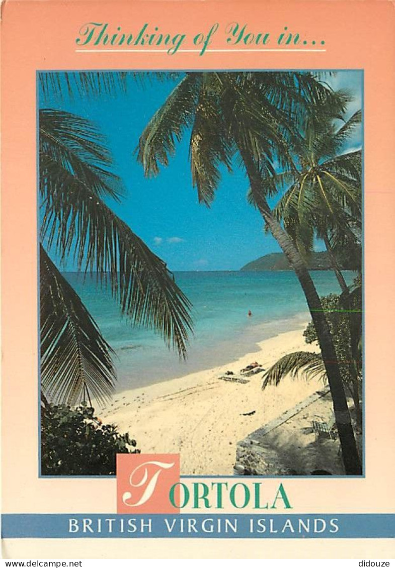 Carte Postale - Antilles - Iles Vierges Britaniques - British Virgin Islands - Little Apple Bay - Tortola - CPM - Voir S