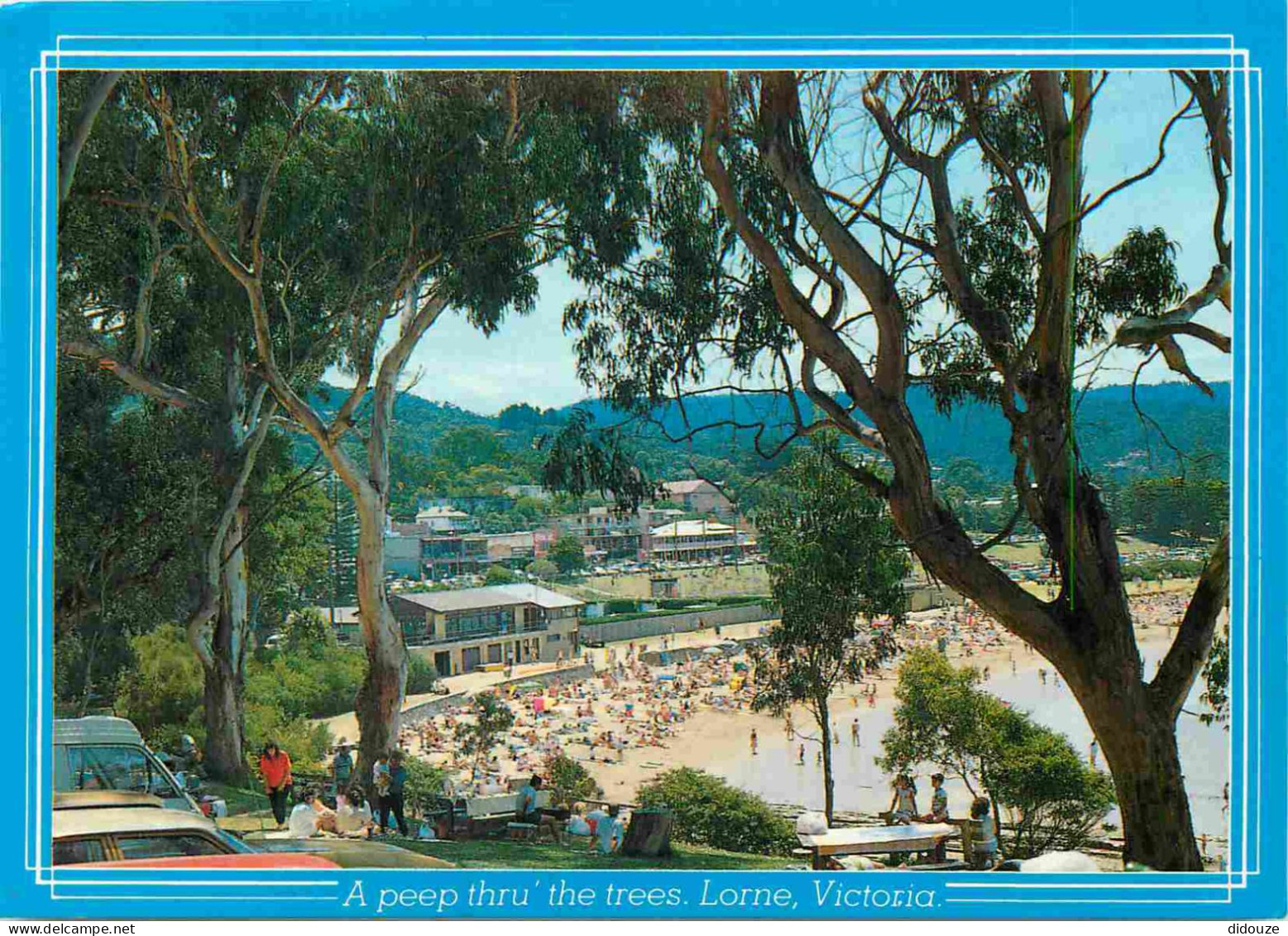 Carte Postale - Australie - Lorne - A peep thru' the trees - CPM - Voir Scans Recto-Verso