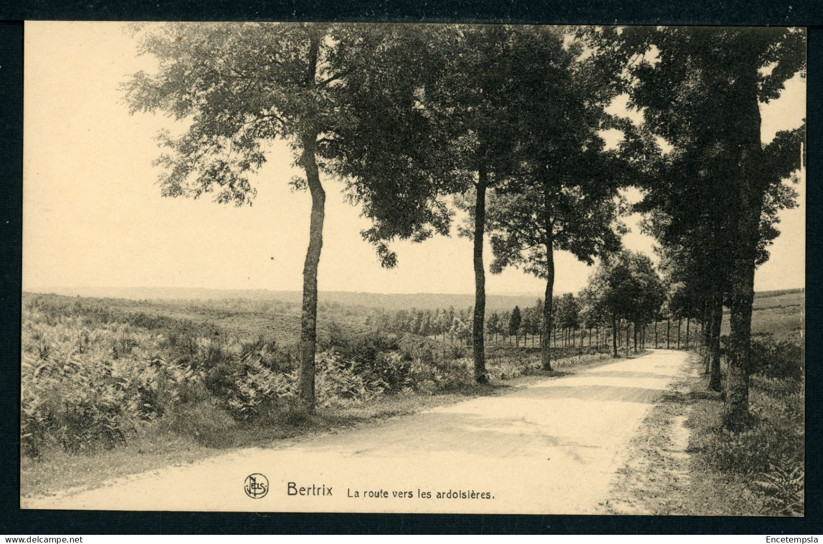 Carte Postale - Belgique - Bertrix - La Route vers les Ardoisières (CP26873)