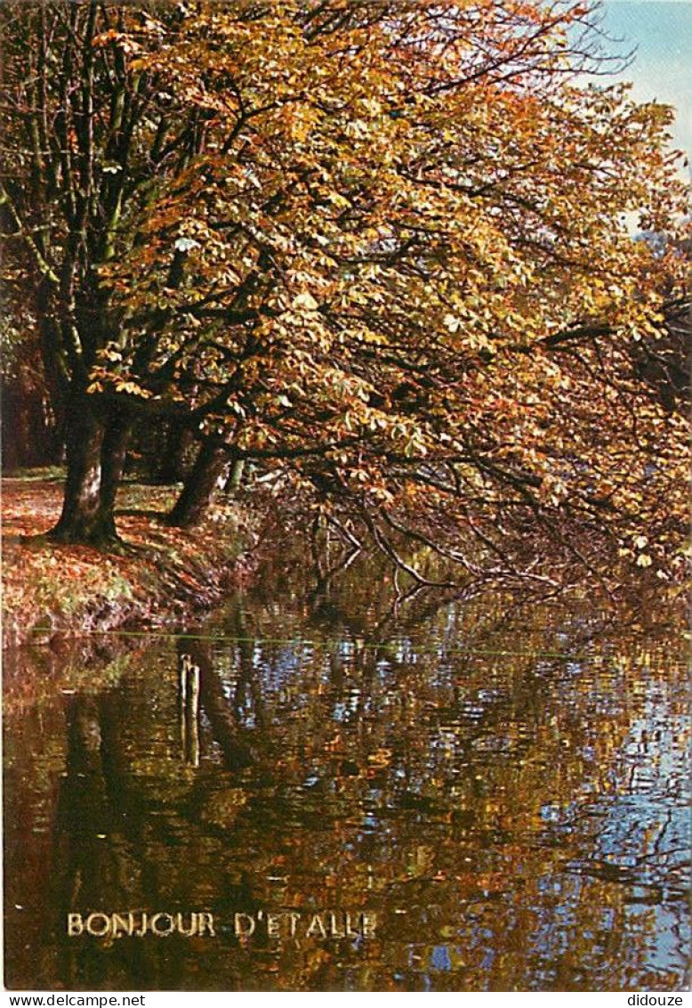 Carte Postale - Belgique - Etalle sur Semois - Bonjour d'Etalle - Carte Neuve - CPM - Voir Scans Recto-Verso - Poscard -