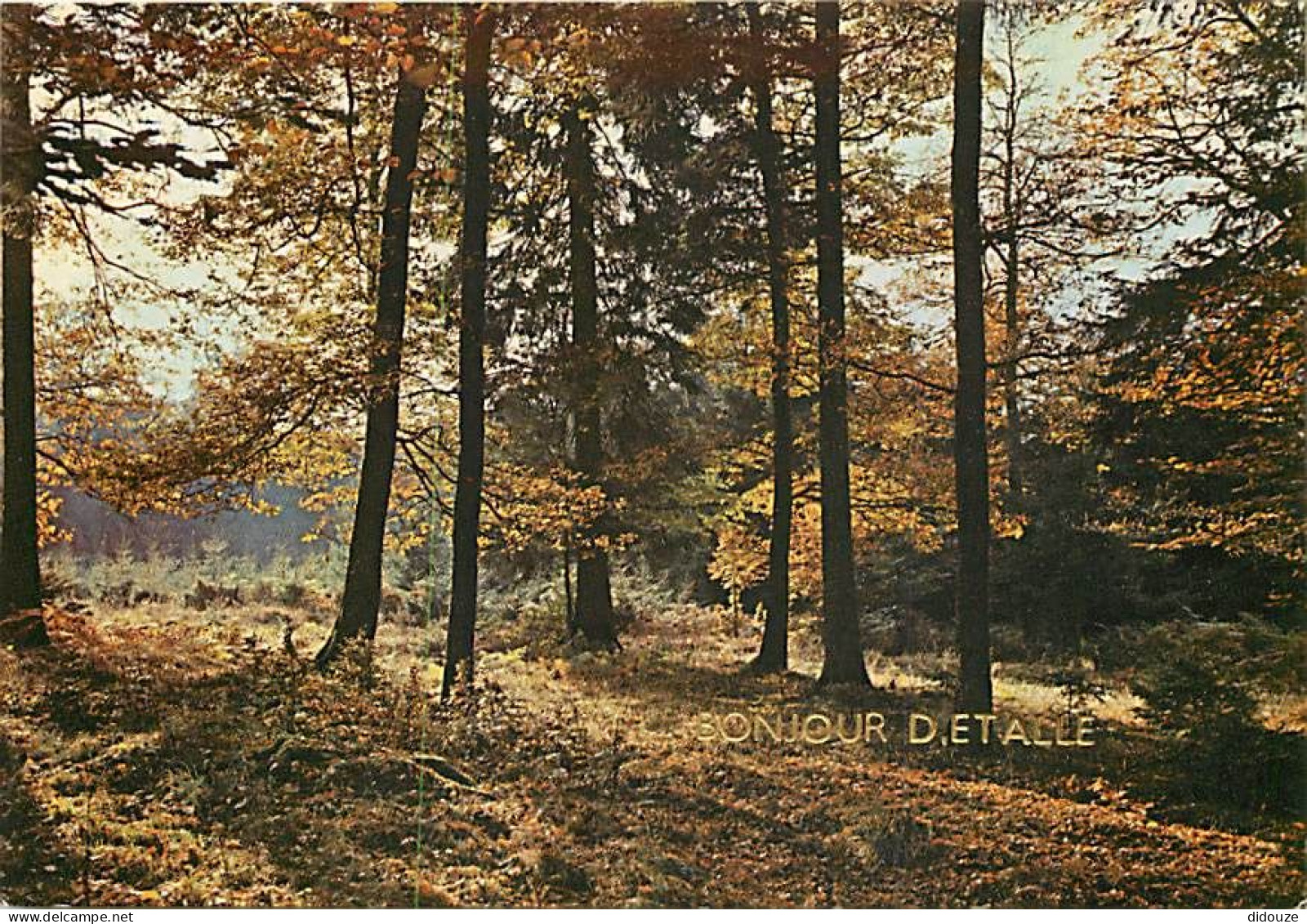 Carte Postale - Belgique - Etalle sur Semois - Bonjour d'Etalle - Rivières et Forêts des Ardennes - Carte Neuve - CPM -