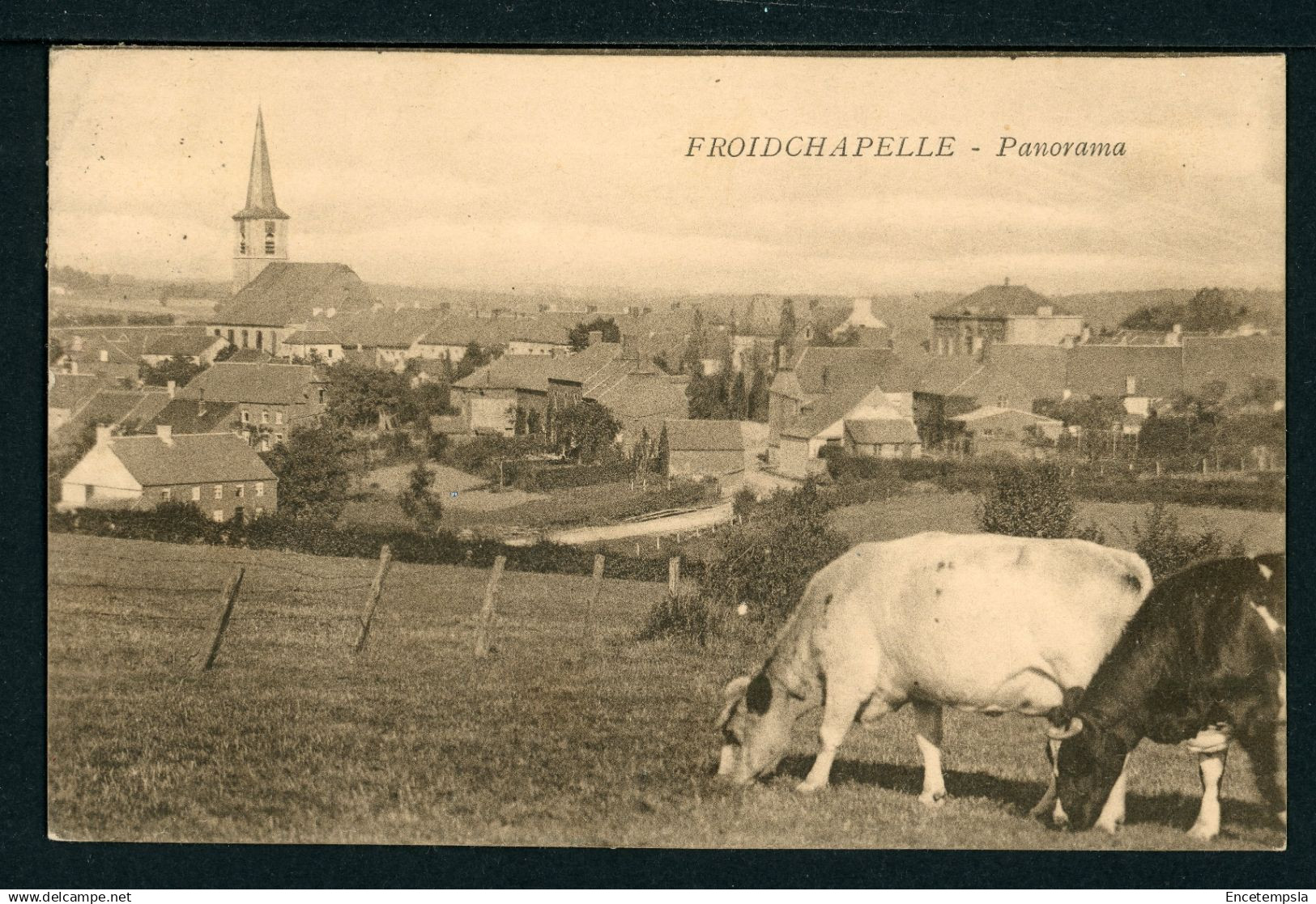 Carte Postale - Belgique - Froidchapelle - Panorama (CP25957OK)