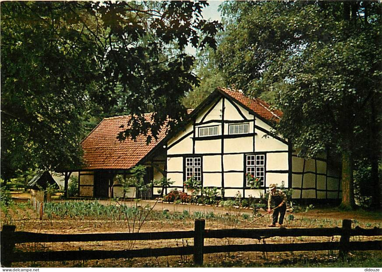 Carte Postale - Belgique - Houthalen-Helchteren - Domein Hengelhoef - CPM - Voir Scans Recto-Verso - Poscard - Carta Pos
