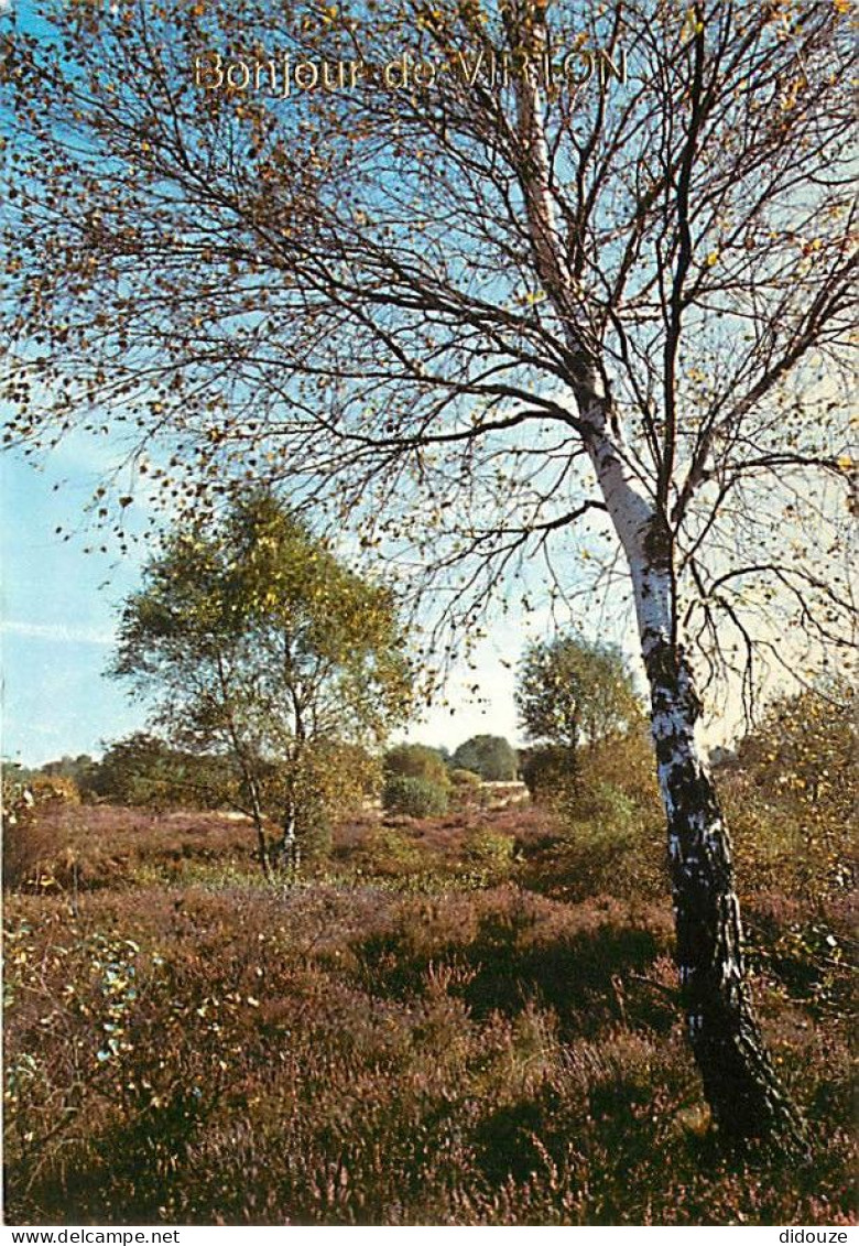Carte Postale - Belgique - Virton - Bonjour de Virton - Carte Neuve - CPM - Voir Scans Recto-Verso - Poscard - Carta Pos