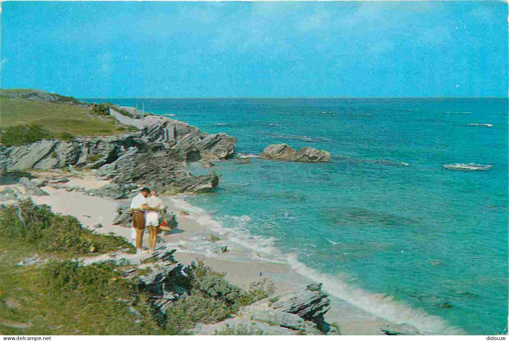 Carte Postale - Bermudes - Warwick beach - Warwick beach scene - Scène de la plage de warwick - CPM 138 x 86 mm - Voir S