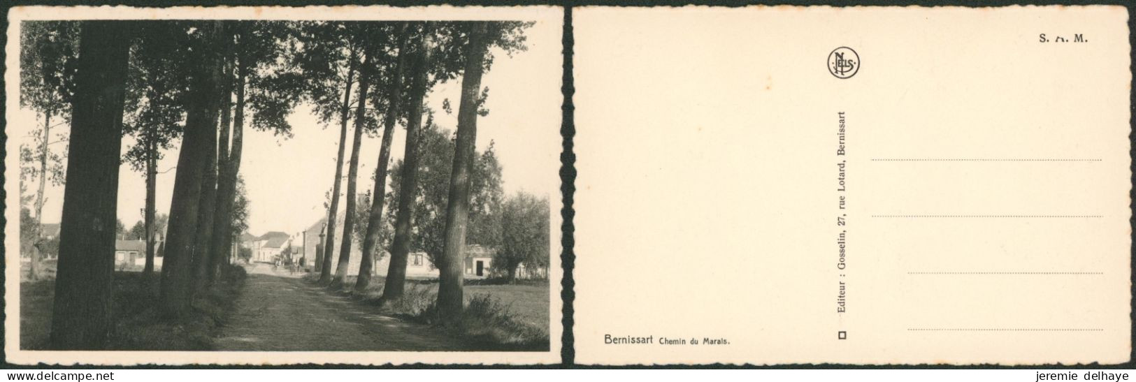 Carte postale - Bernissart chemin du marais