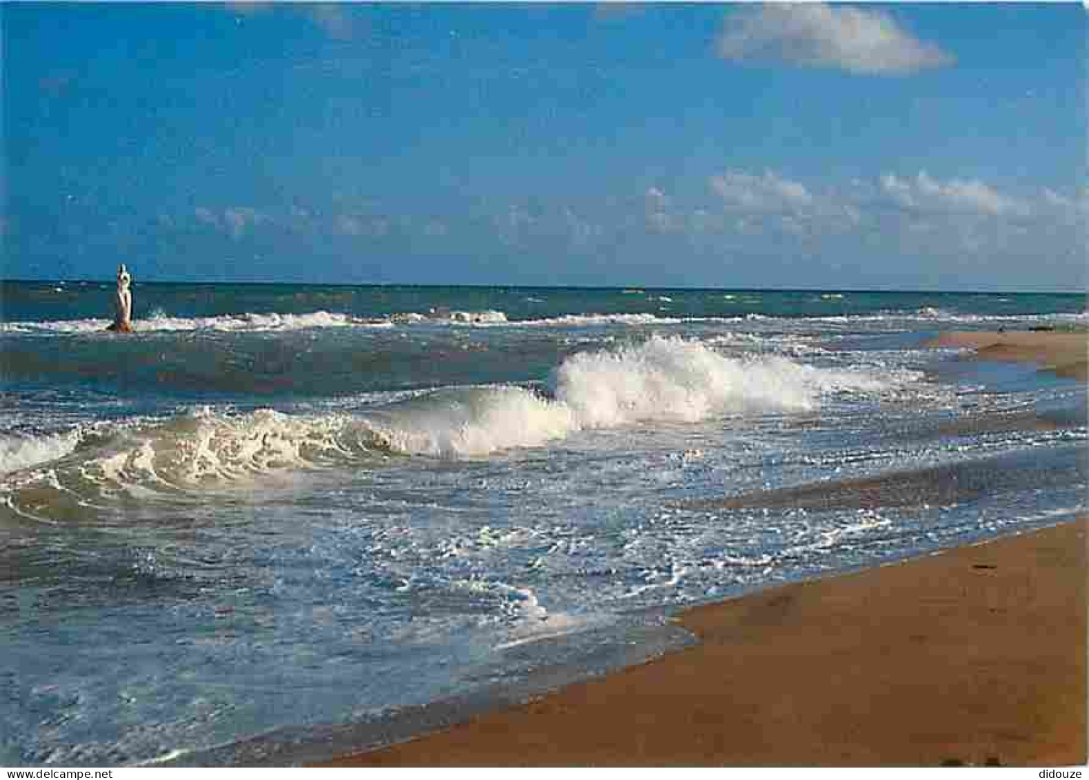 Carte Postale - Brésil - Maceió - Partial view of Mirante da Sereia Beach - CPM - Voir Scans Recto-Verso - Poscard - Car