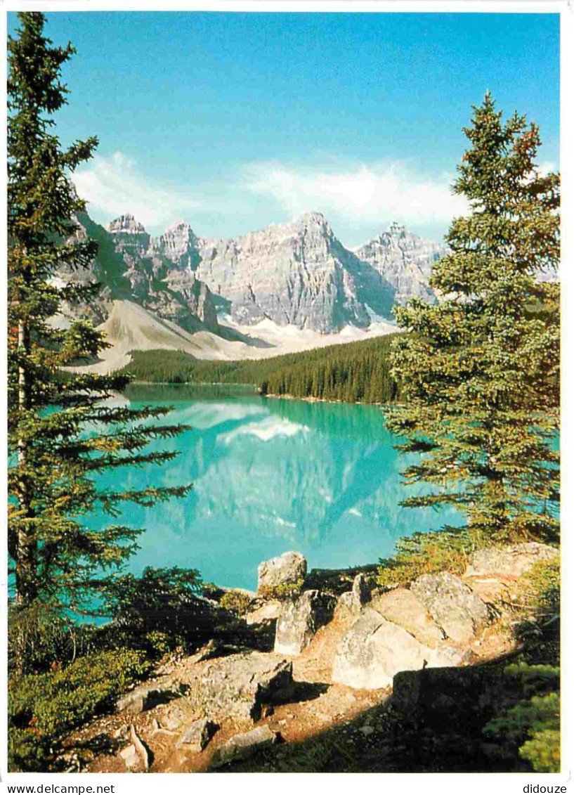 Carte Postale - Canada - Banff - Moraine lake - banff national park - Alberta - CPM - Voir Scans Recto-Verso