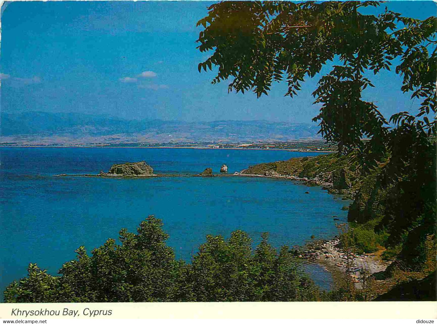 Carte Postale - Chypre - Polis - Khrysokhou bay -  La baie khyrysokhou - CPM - Voir Scans Recto-Verso