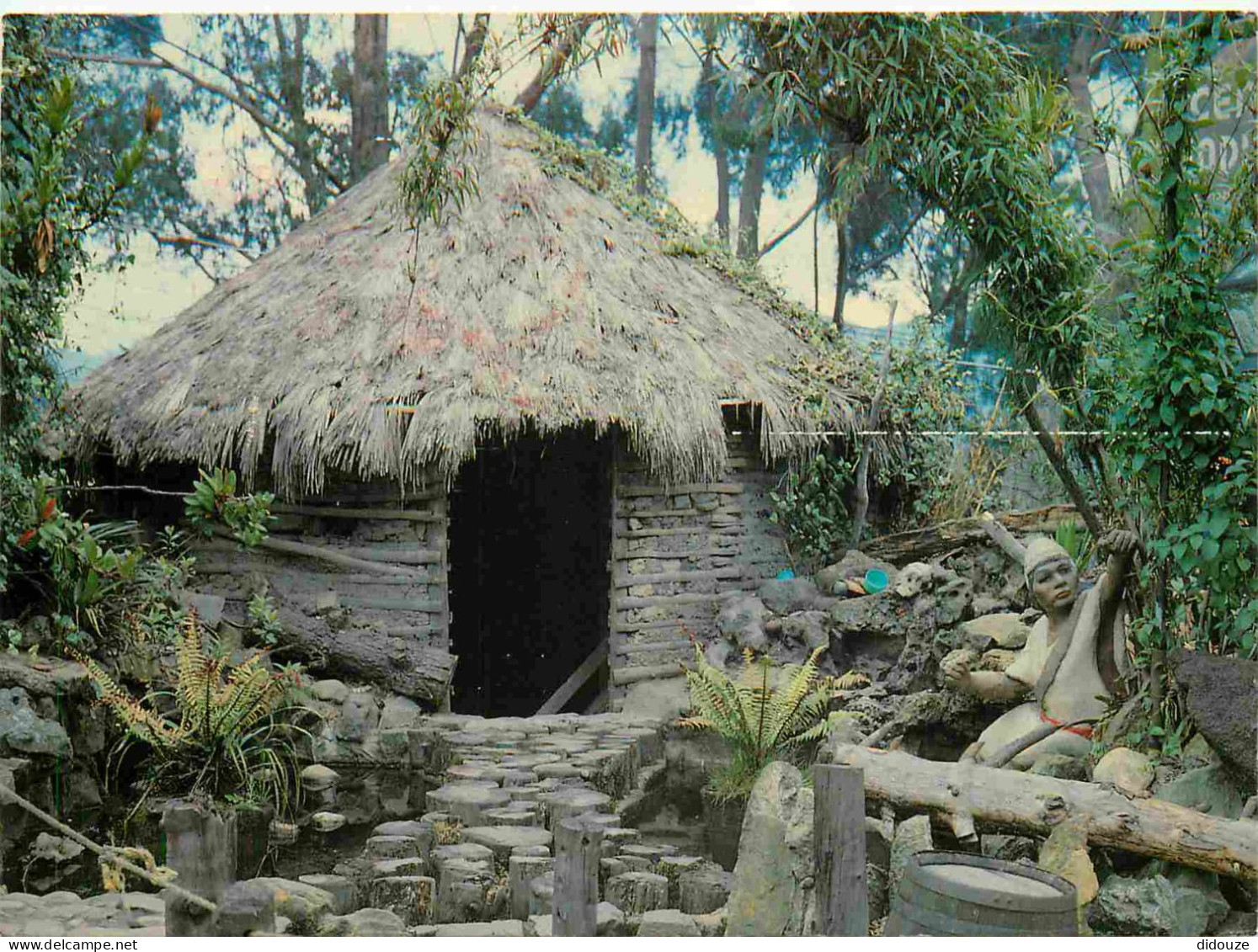 Carte Postale - Colombie - Guajira - Vivienda típica de los guajiros - CPM - Voir Scans Recto-Verso