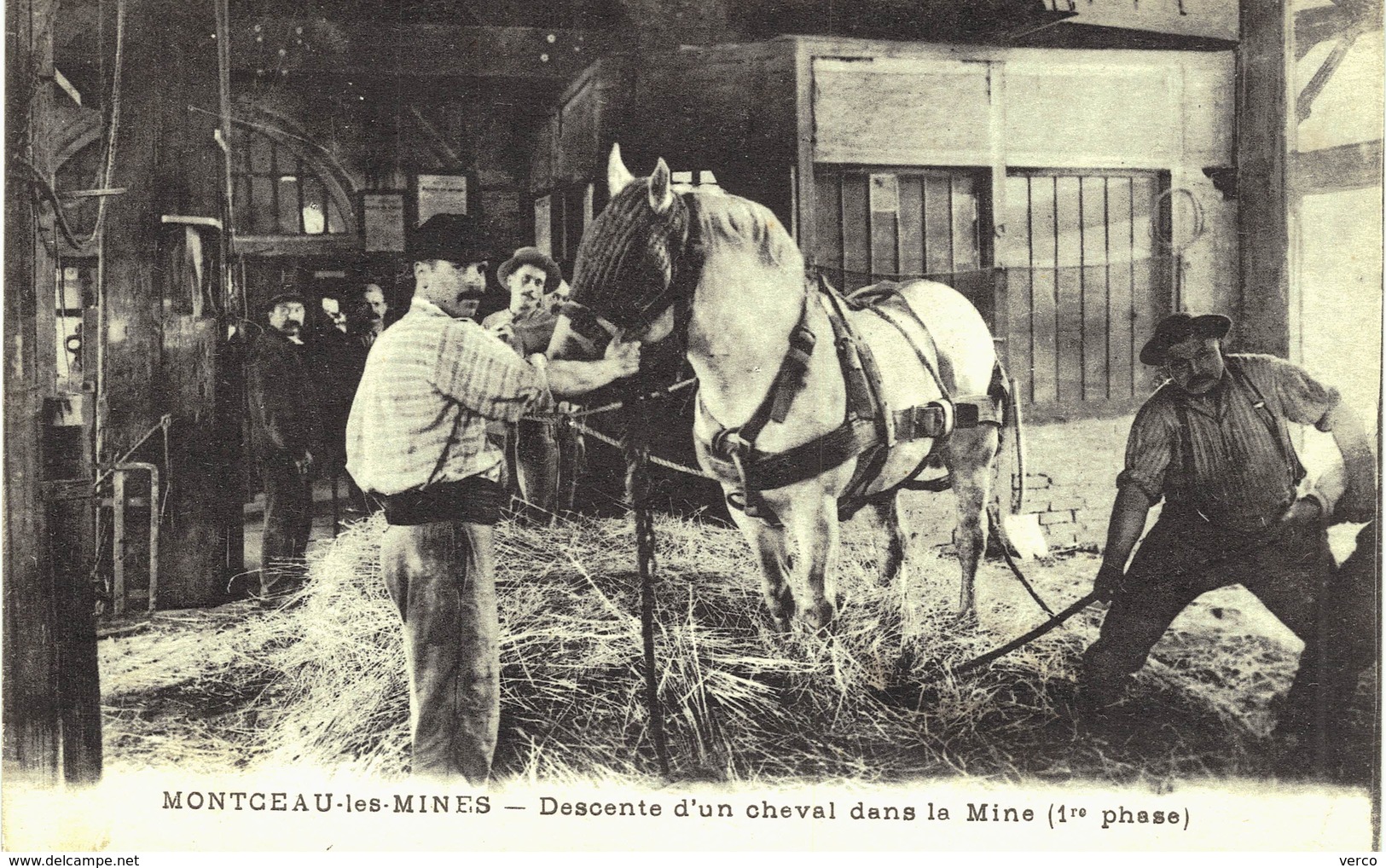 Carte Postale de MONTCEAU les MINES - descente d'un cheval dans la mine
