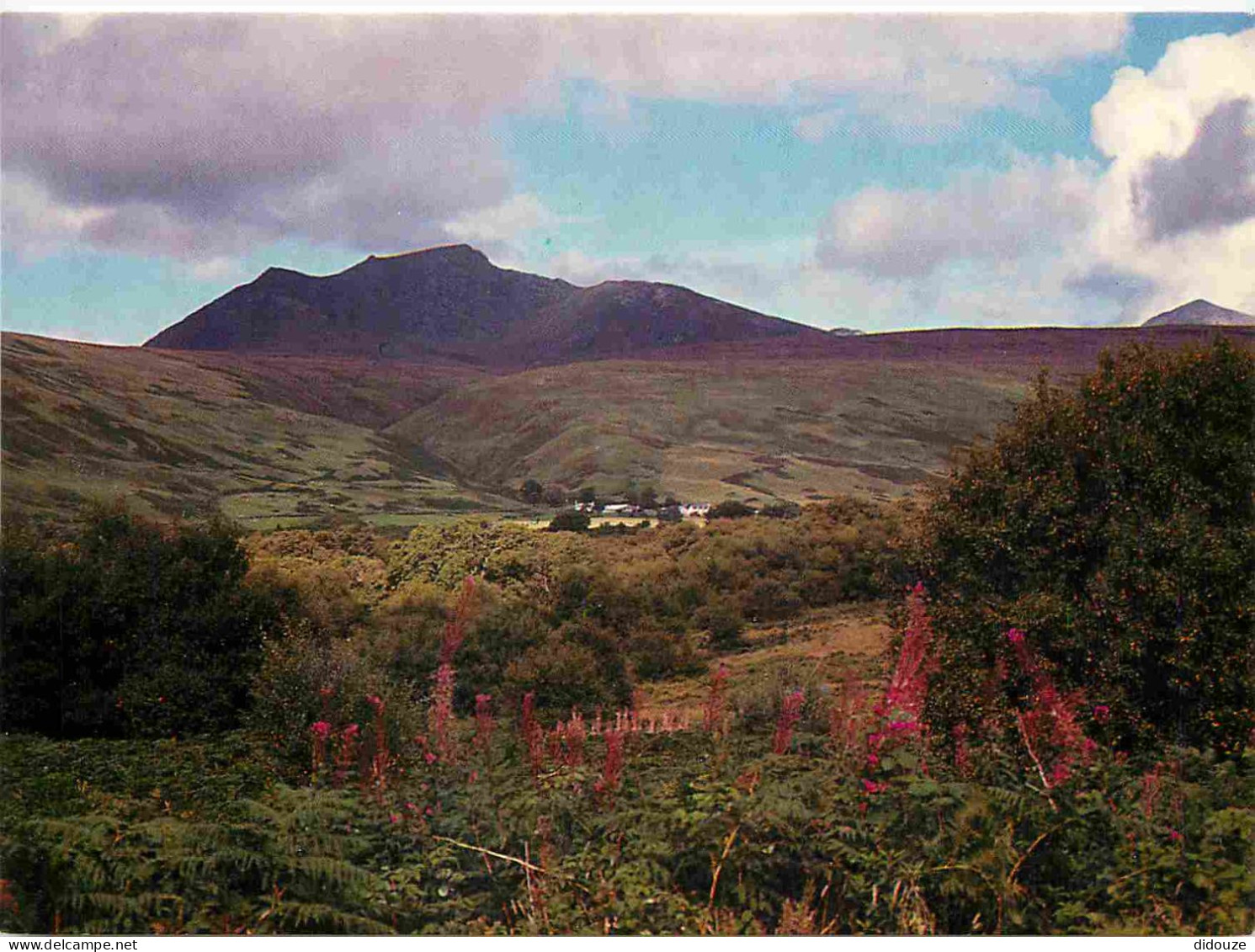 Carte Postale - Ecosse - Beinn tarsuinn - North Ayrshire - CPM - Voir Scans Recto-Verso
