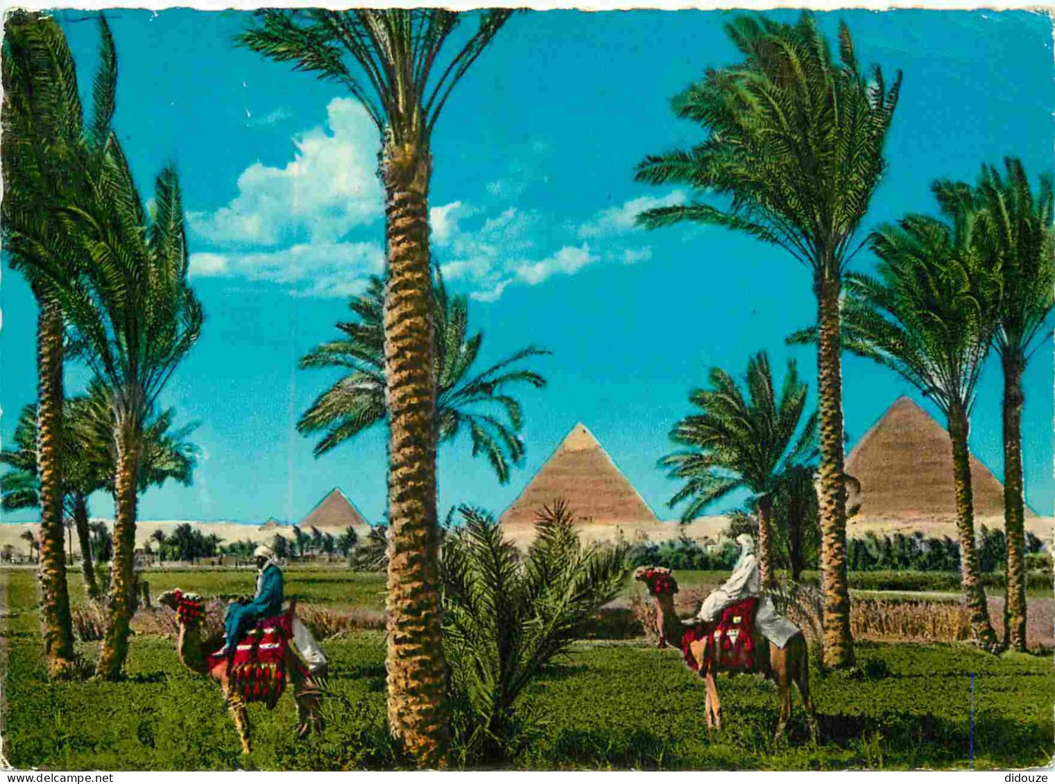 Carte Postale - Egypte - Giza - the giza pyramids die giza pyramiden - CPM - Voir Scans Recto-Verso
