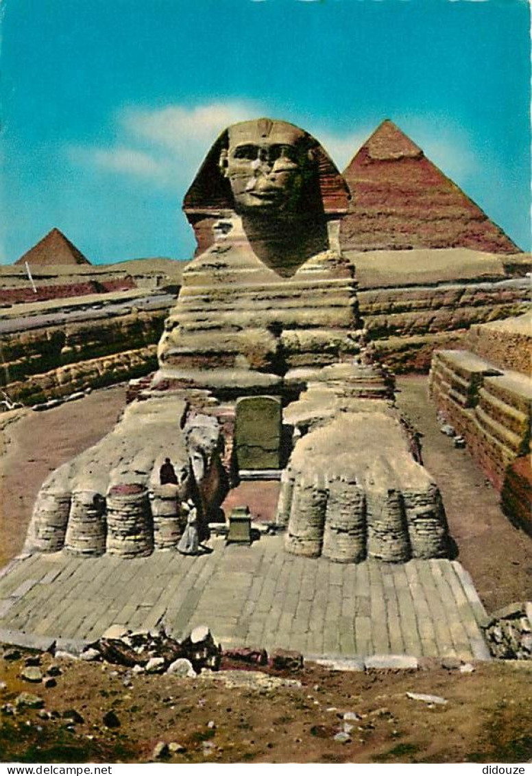Carte Postale - Egypte - Gizeh - Giza - The Great Sphinx of Giza - Le Grand Sphinx de Gizeh - Voir Timbre - CPM - Voir S