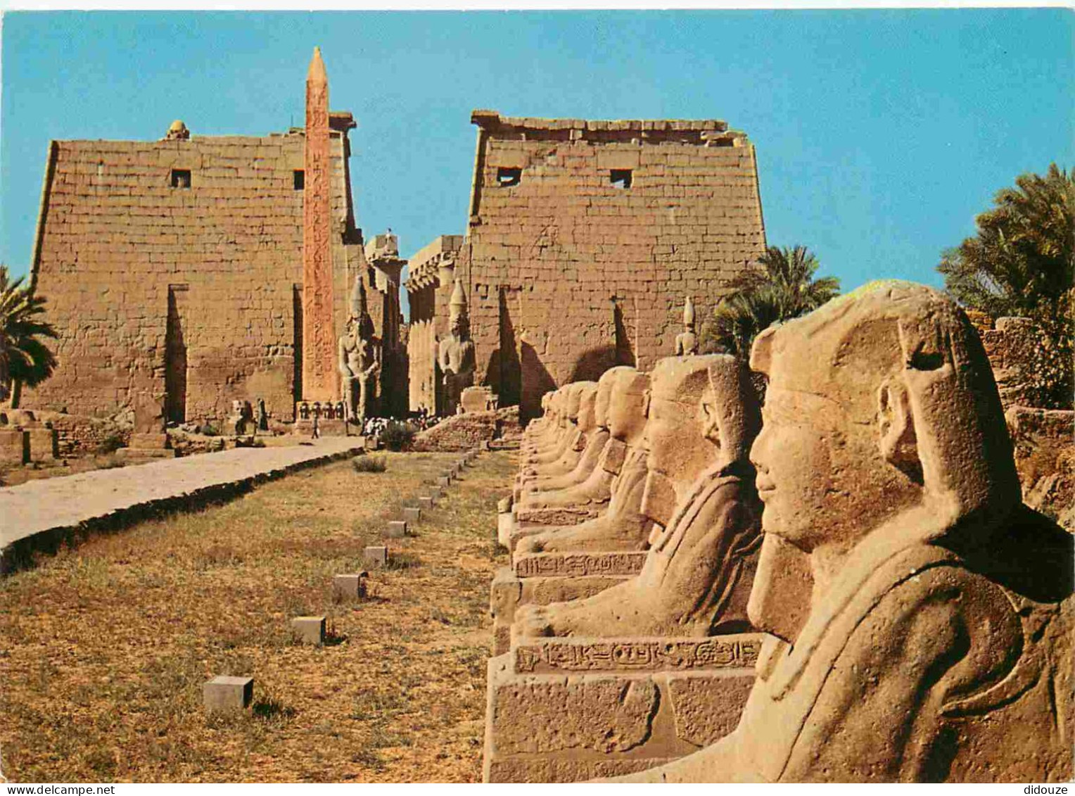 Carte Postale - Egypte - Luxor - Sphinxes avenue at Luxor Temple Avenue des Sphinxes au Temple de Luxor Sphinxallee beim