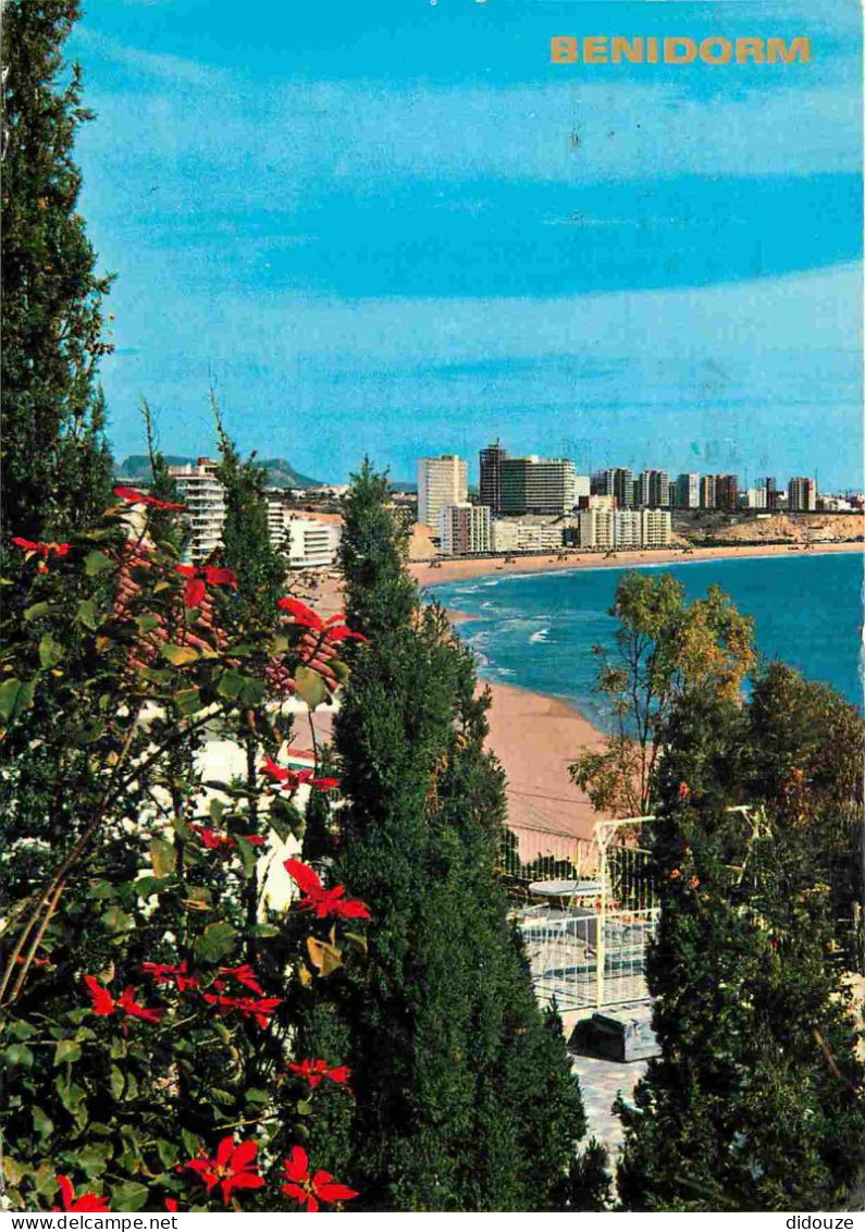 Carte Postale - Espagne - Espana - Comunidad Valenciana - Benidorm - immeubles - architecture - CPM - Voir Scans Recto-V
