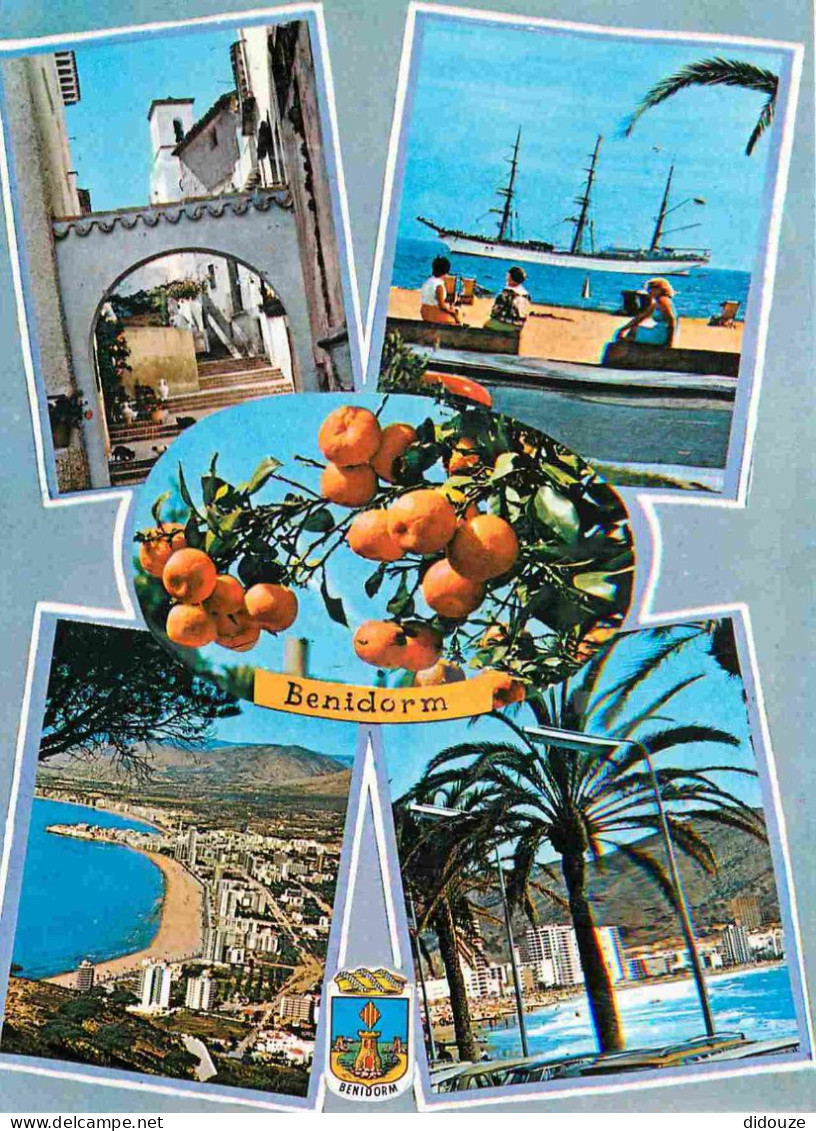 Carte Postale - Espagne - Espana - Comunidad Valenciana - Benidorm - Multivues - Oranges - CPM - Voir Scans Recto-Verso