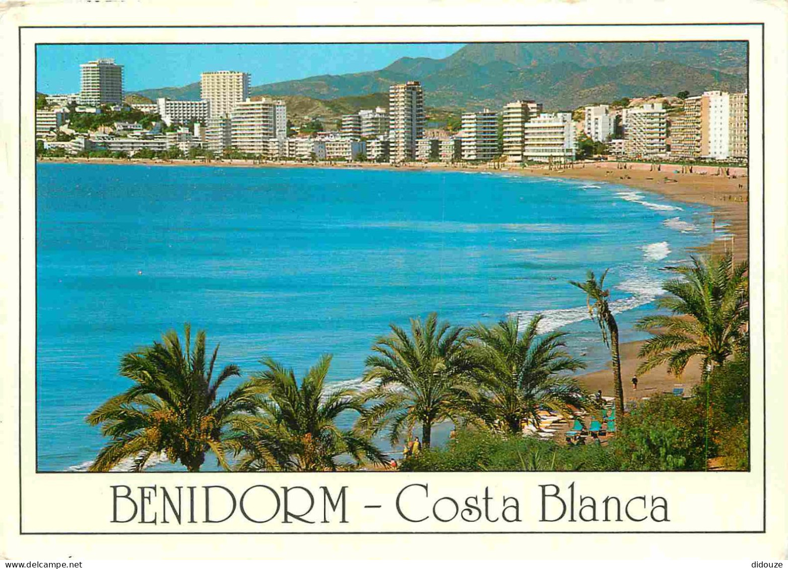 Carte Postale - Espagne - Espana - Comunidad Valenciana - Benidorm - Playa de Poniente - immeubles - architecture - Plag