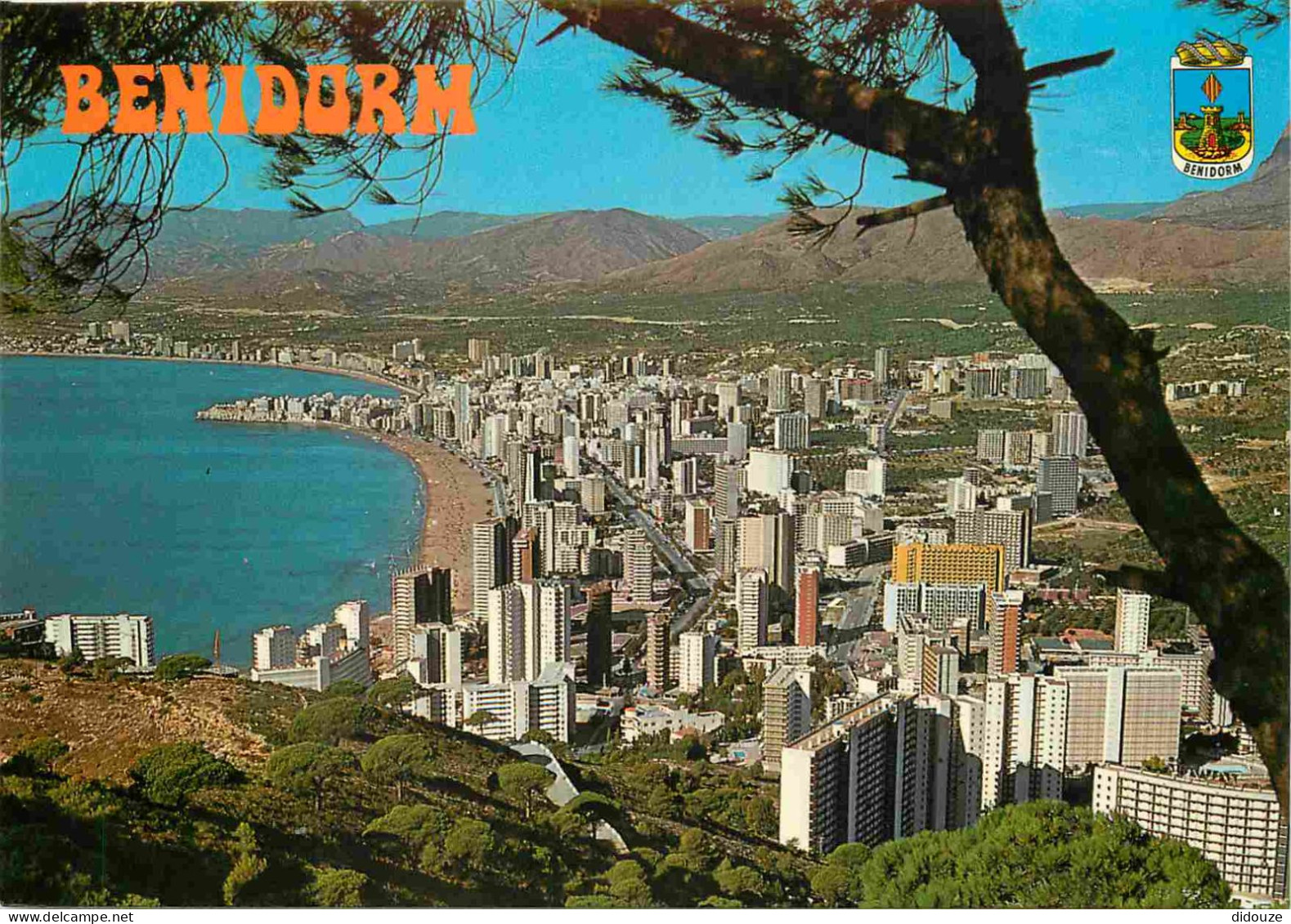 Carte Postale - Espagne - Espana - Comunidad Valenciana - Benidorm - Vista General - Vue Générale - immeubles - architec