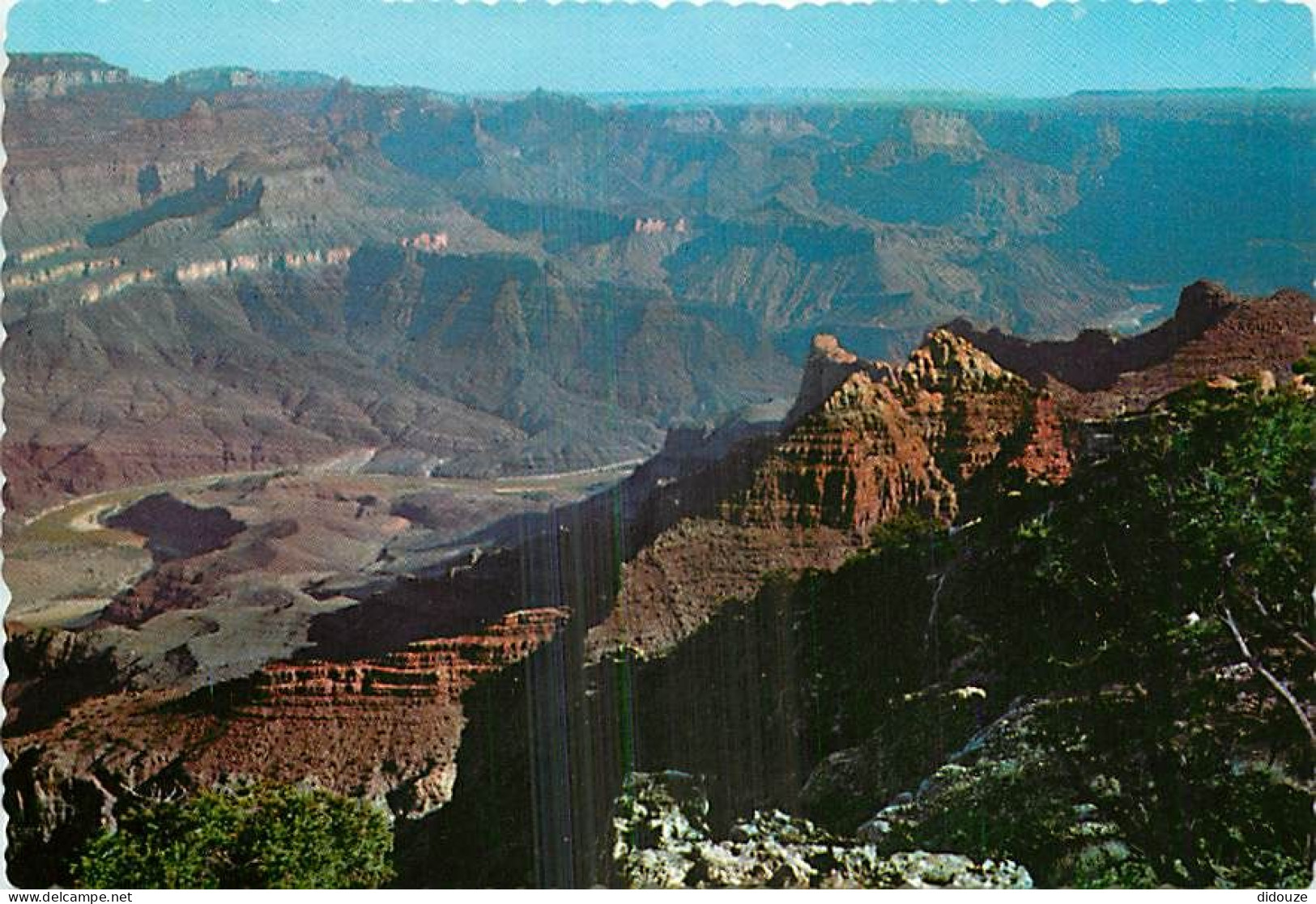Carte Postale - Etats Unis - Grand Canyon - Grand Canyon National Park - Etat de l'Arizona - Arizona State - Carte Dente