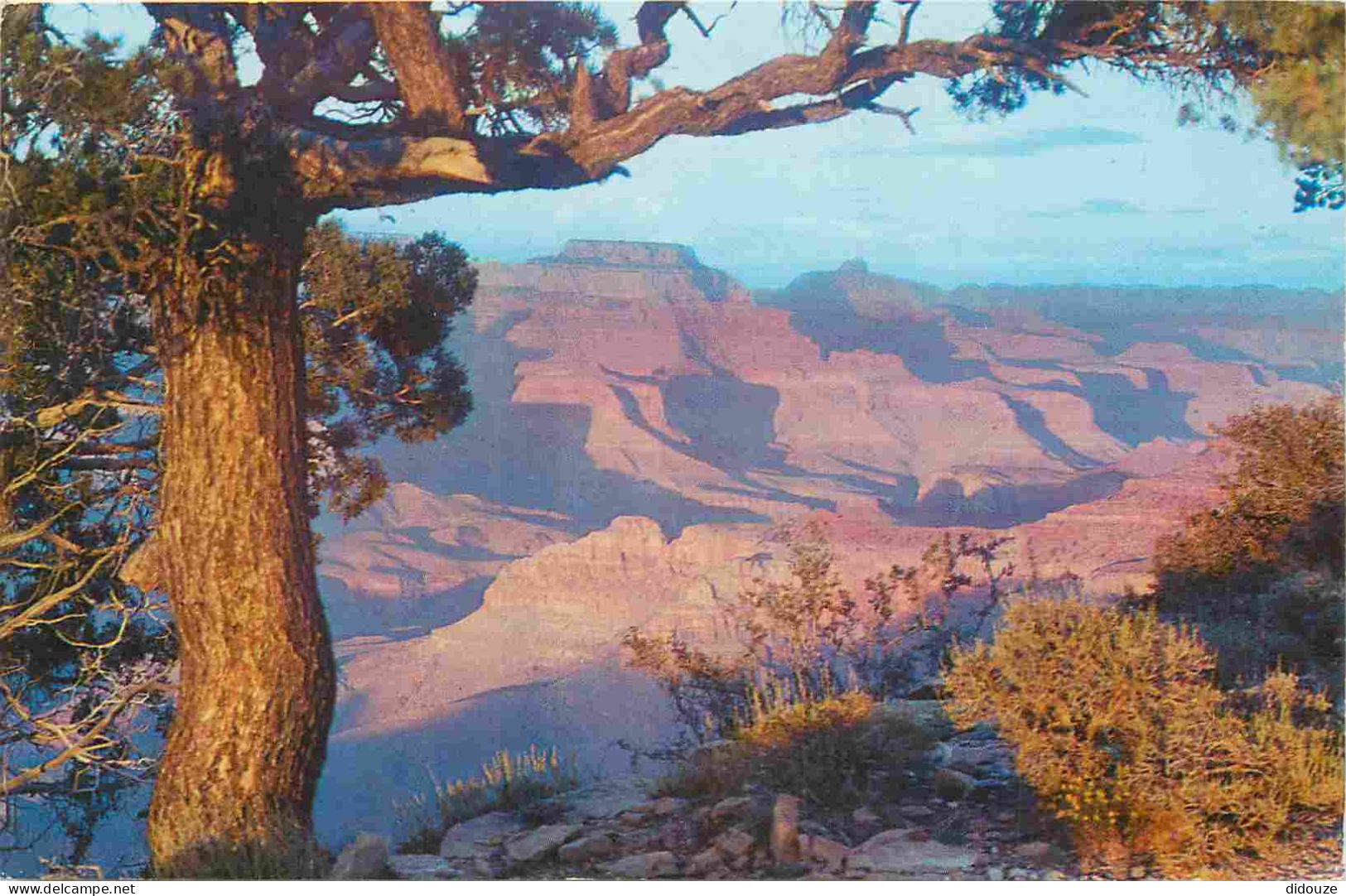 Carte Postale - États-Unis - Grand canyon - Sunset at arizona's grand canyon - red sunset glow on exposed points contras