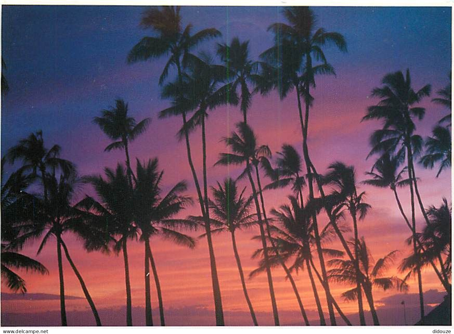 Carte Postale - Etats Unis - Hawaï - Honolulu - Waikiki - dreamy hawaiian sunset - The dreamy tropical sky foretells the