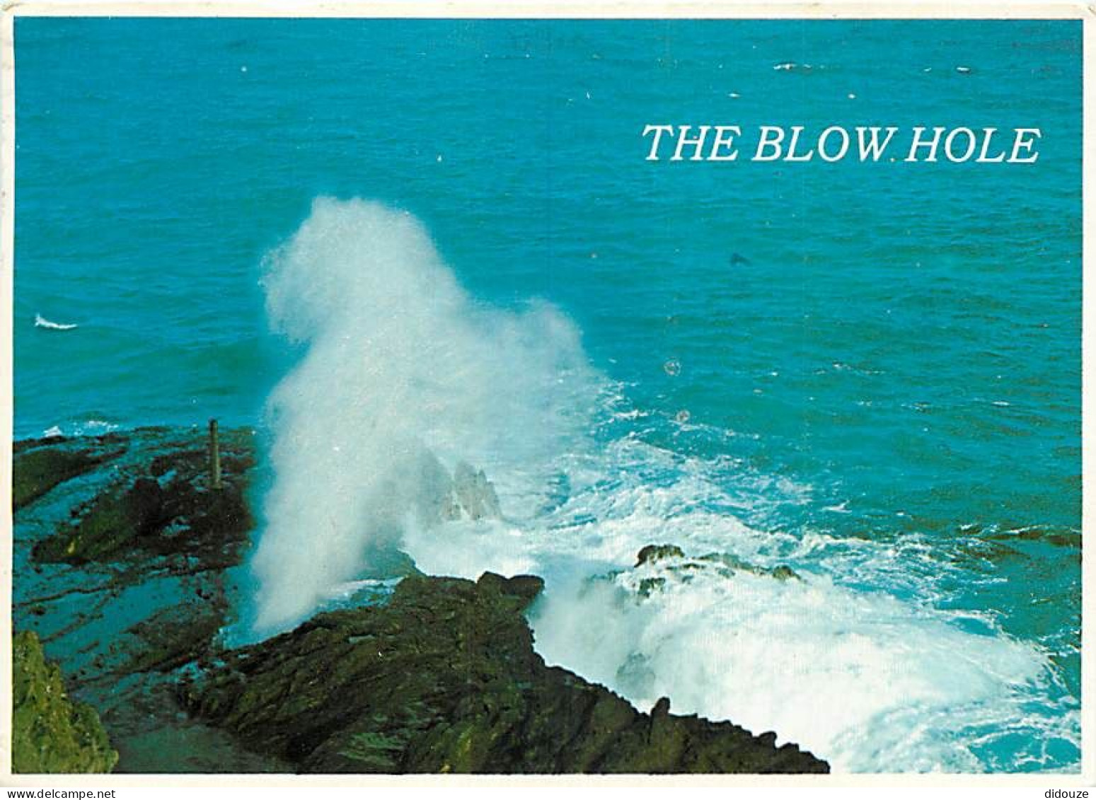 Carte Postale - Etats Unis - Hawaï - Oahu - The Blow Hole - Etat de Hawaï - Hawaï State - CPM - Voir Timbre - Voir Scans