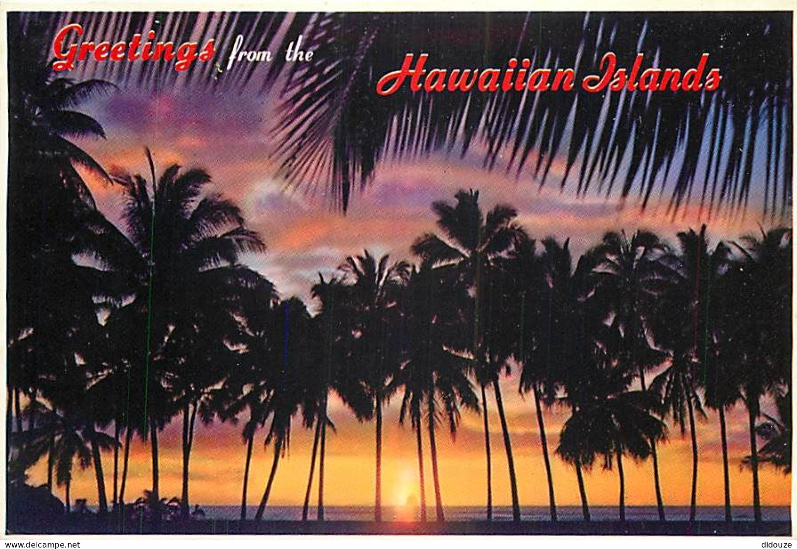Carte Postale - Etats Unis - Hawaï - Sunset through the Palms as the sun goes down in Hawaii - Etat de Hawaï - Hawaï Sta