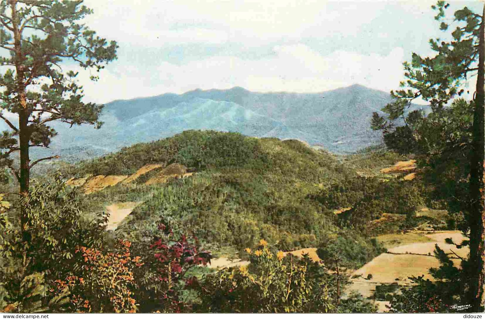 Carte Postale - Etats-Unis - Knoxville - Mt le conte - The great smoky mountains national park - CPM - Voir Scans Recto-